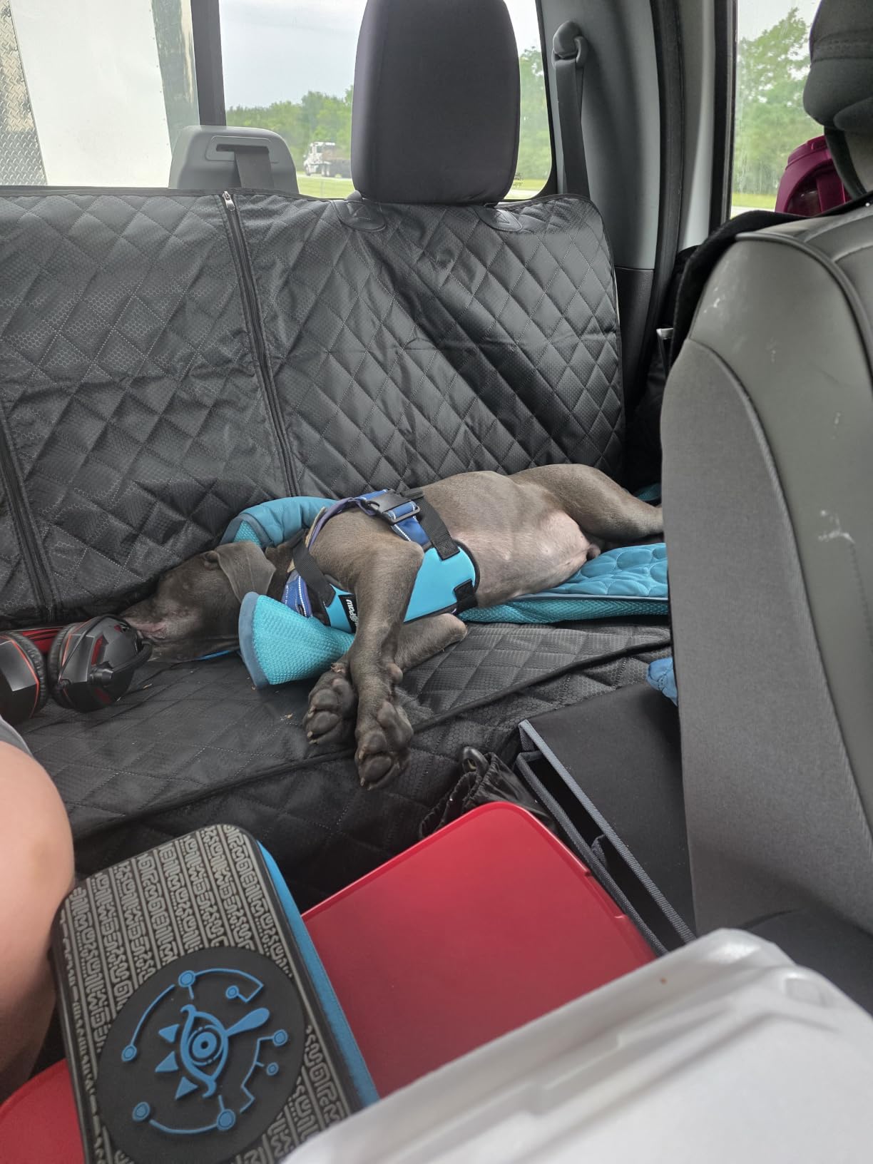 ANOSOSPECIAL Dog Car Seat Cover for Back Seat Cover,Non Stick Fur Rear Seat Protector for Pet,Nonslip Waterproof Durable Universal Fit Interior Backseat Covers for Auto Van SUV customer photo 1