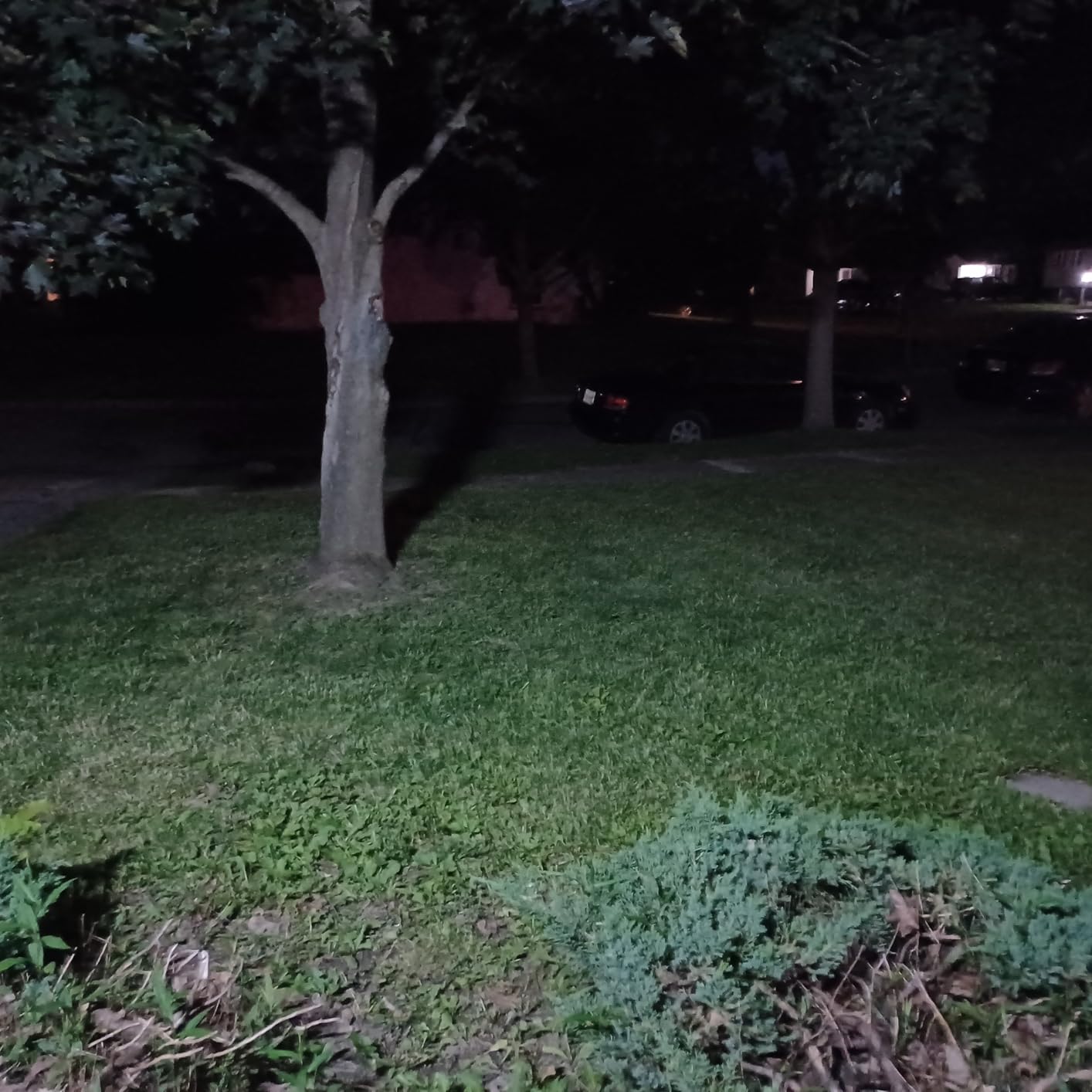 Tuffenough Solar Outdoor Lights 2500LM 210 LED Security Lights with Remote Control,3 Heads Motion Sensor Lights, IP65 Waterproof,270° Wide Angle Flood Wall Lights with 3 Modes(2 Packs) customer photo 2