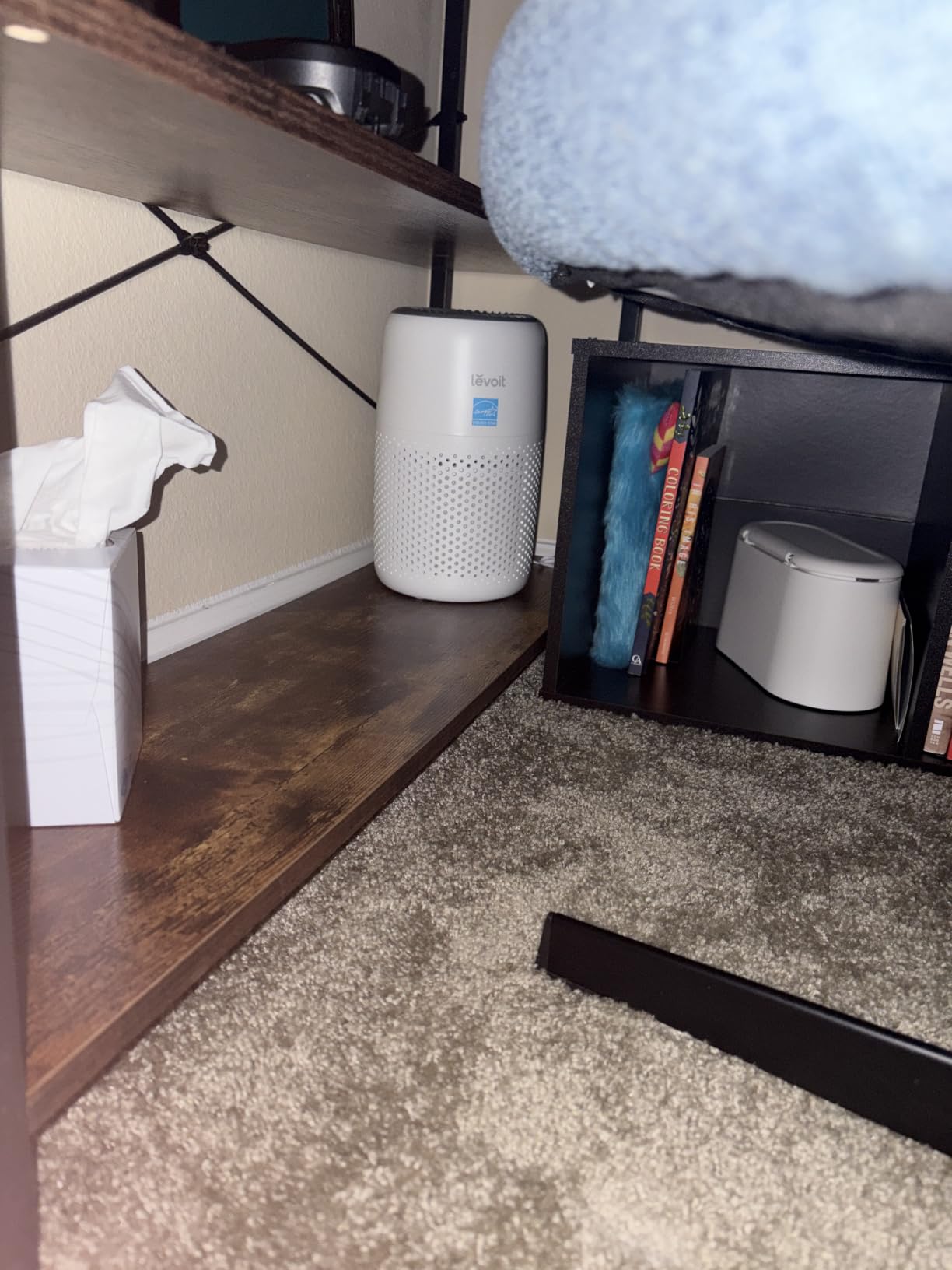 Levoit Air Purifiers for Bedroom Home Pets Dorm Room, Small Air Purifiers customer photo 2