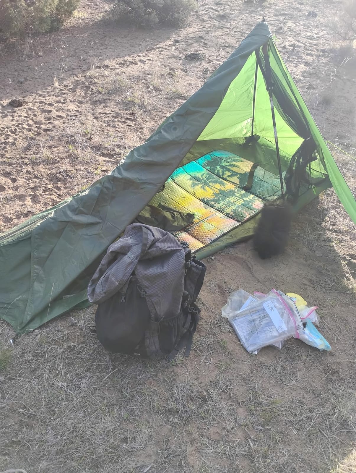 1 Person Trekking Pole Tent, Ultralight Backpacking Hiking Tent (NO Poles) customer photo 1