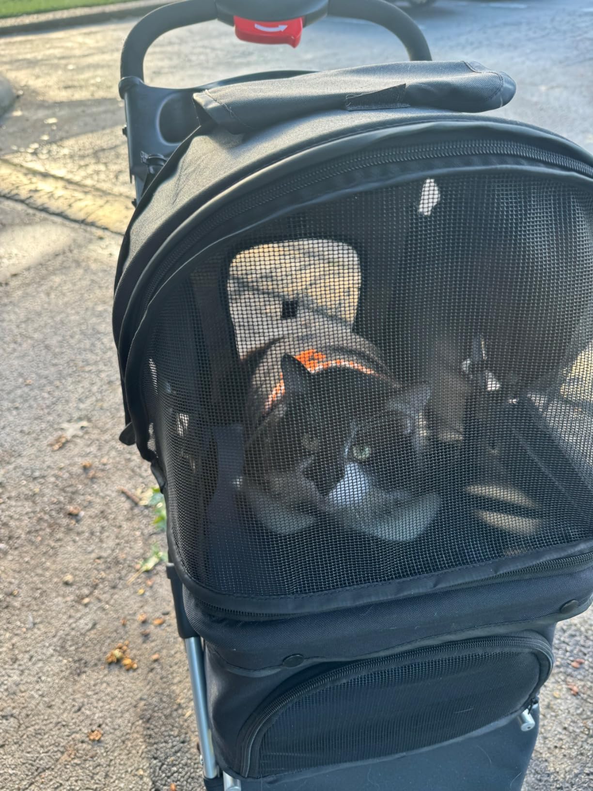 Foldable Pet Stroller for Cats and Dogs 3 Wheels Carrier Strolling Cart with Weather Cover, Storage Basket + Cup Holder (Black) customer photo 2