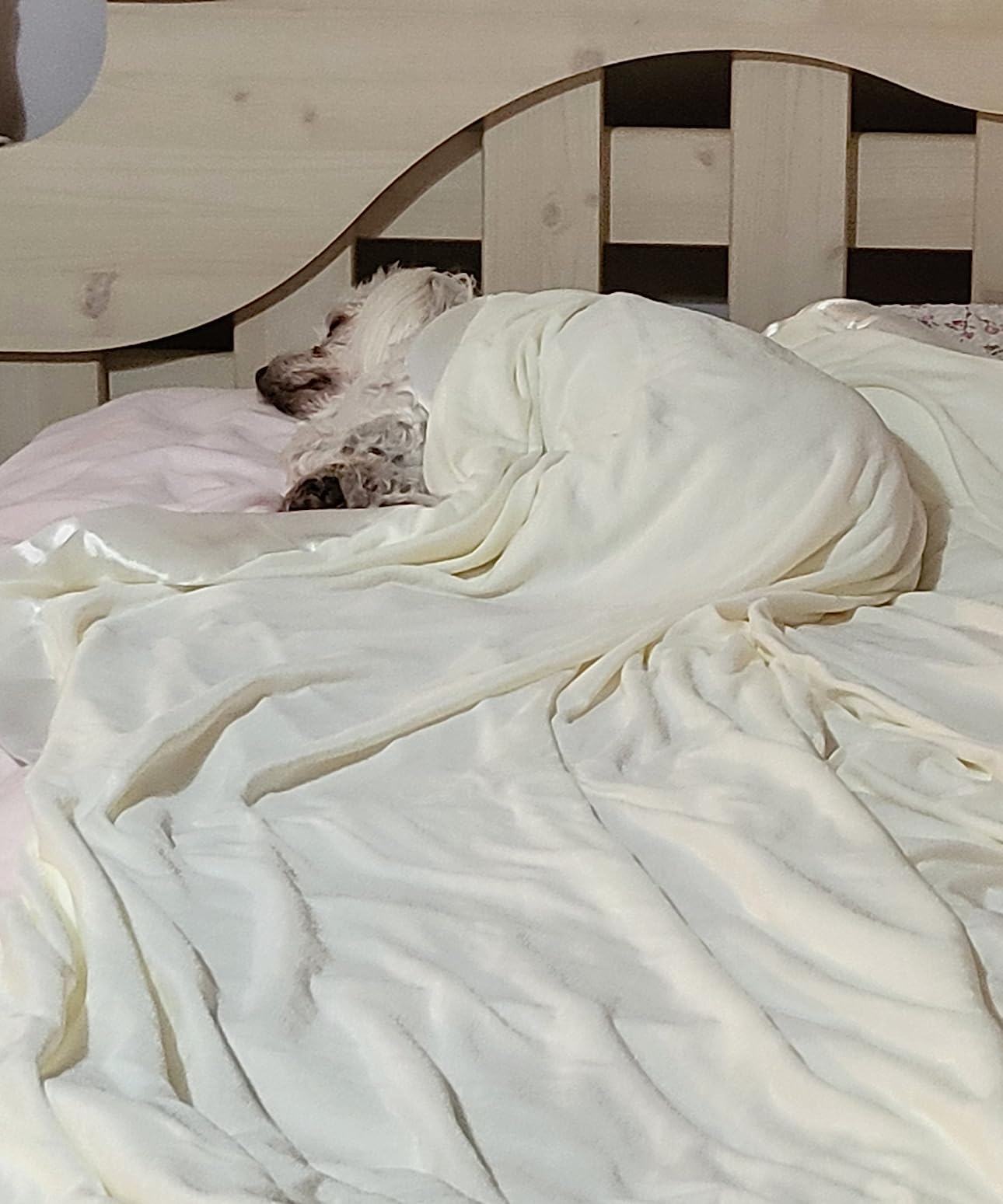 Everlasting Comfort Cooling Blanket for Hot Sleepers - Soft, Lightweight & Breathable Throw Blanket with Easy to Clean Material - Luxury Throws for Hot Flashes & Night Sweats (60