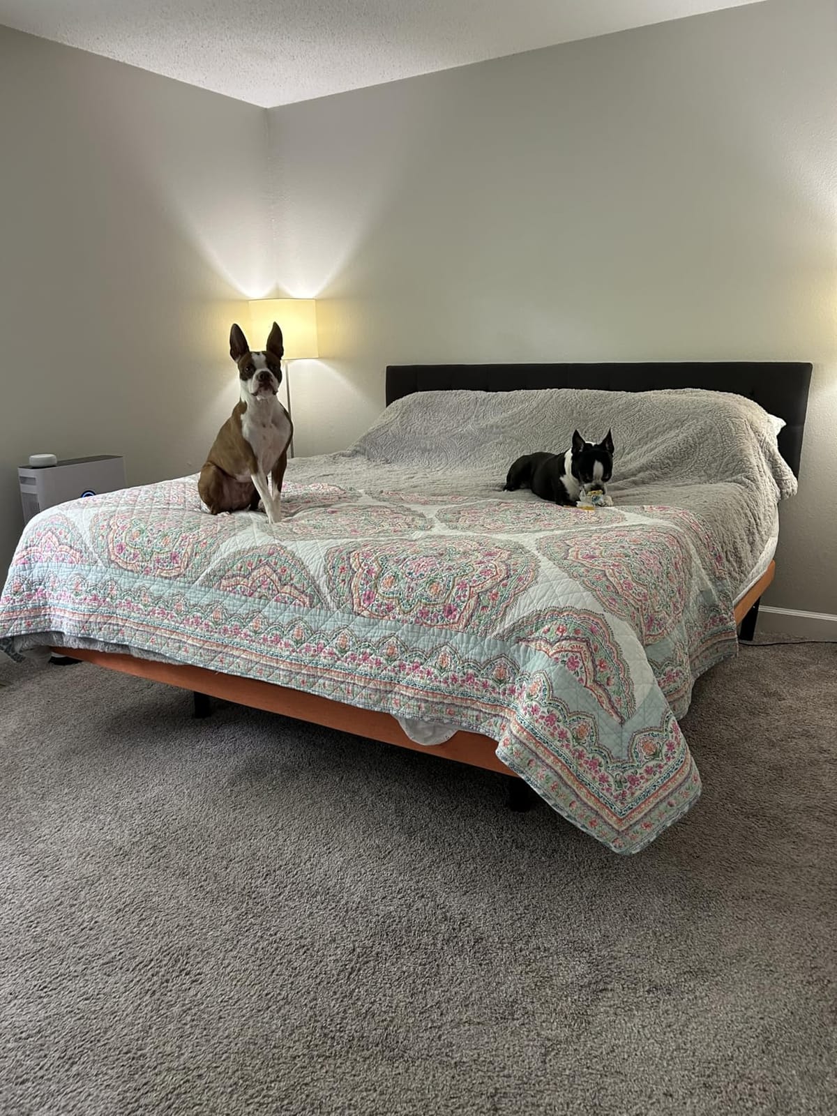 ESHINE King Adjustable Bed Frame Base - 3000 Premium Series customer photo 2