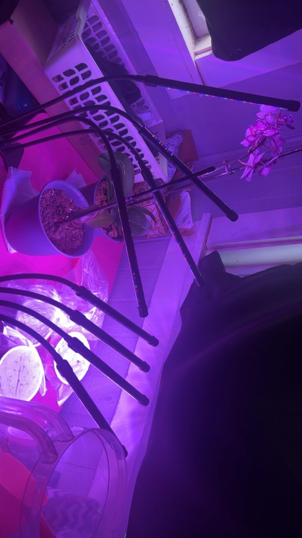 Shyineyou Grow Lights for Indoor Plants Full Spectrum, 80 LEDs Plant Lights for Indoor Growing with 3/9/12H Timer, 3 Color Modes & 9 Brightness, 4 Heads Clip-On Plant Grow Light customer photo 2