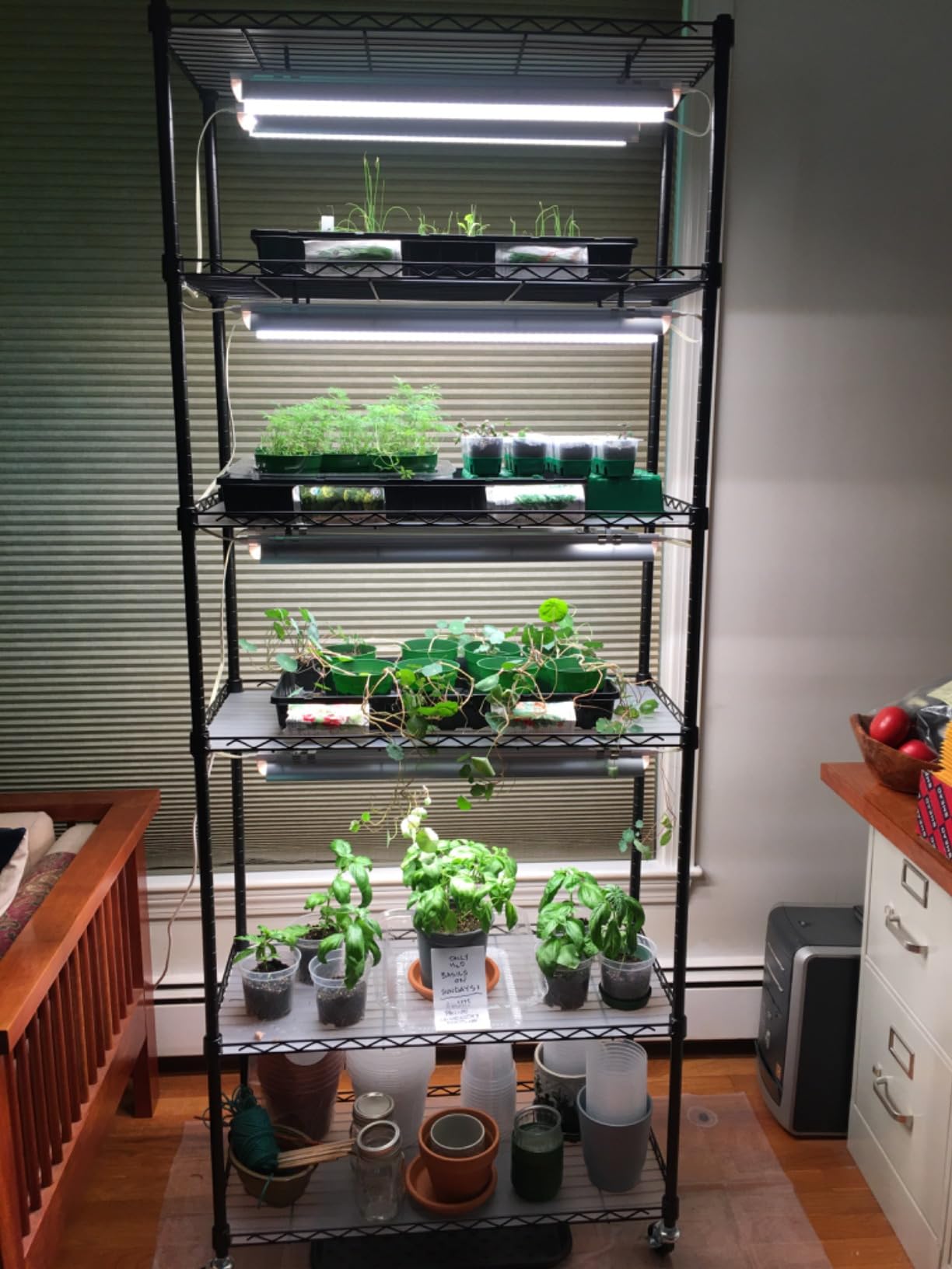 Bstrip DIY Plant Shelf with Grow Light, Adjustable, 29.5x13.8x70.9in customer photo 1
