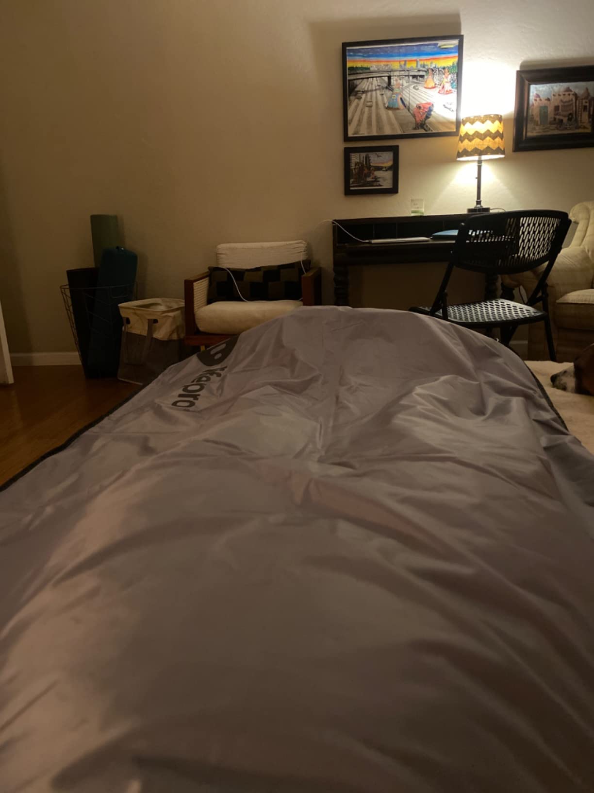LifePro BioRemedy Infrared Sauna Blanket for Home Relaxation Detox customer photo 1
