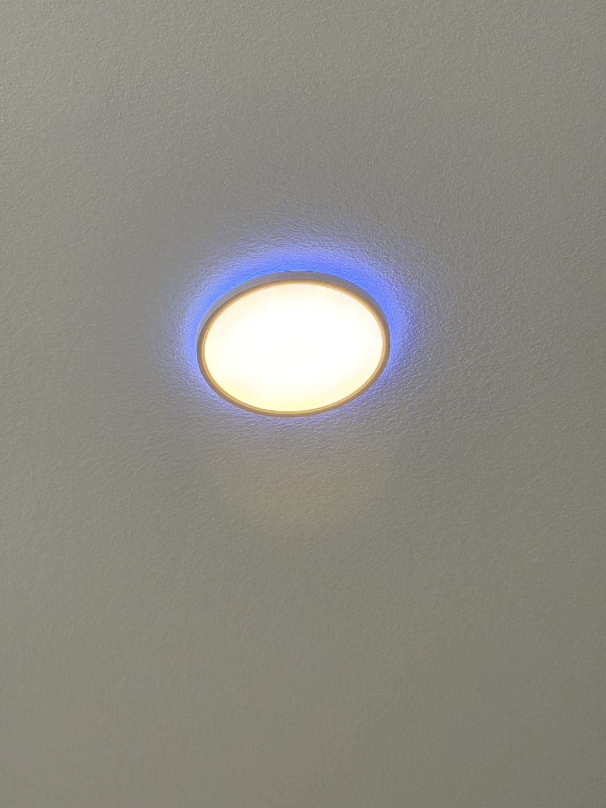 MELEGAN 12 Inch Smart RGB LED Flush Mount Ceiling Light (1 Pcs) customer photo 1