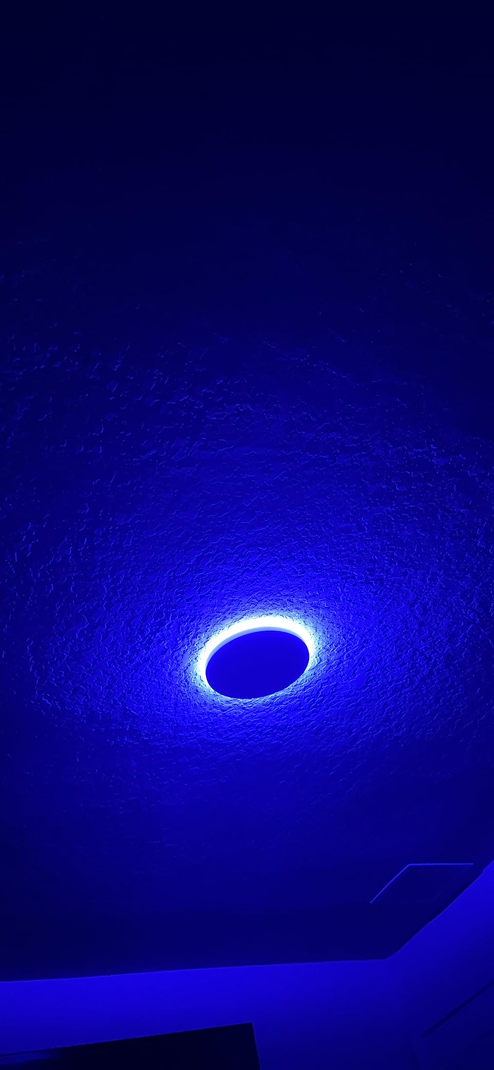 MELEGAN 12 Inch Smart RGB LED Flush Mount Ceiling Light (1 Pcs) customer photo 2