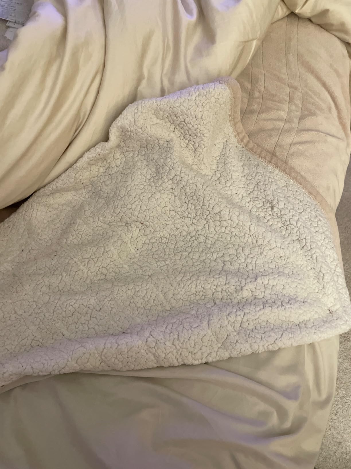 Sealy Electric Throw Blanket Heated Flannel & Sherpa Auto Shutoff 50