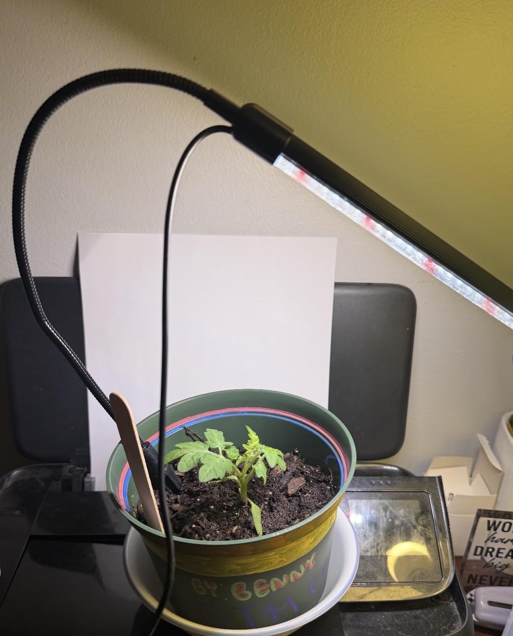 Plant Grow Light,48LED White Red 6000K Full Spectrum Gooseneck Growing Lamp customer photo 1
