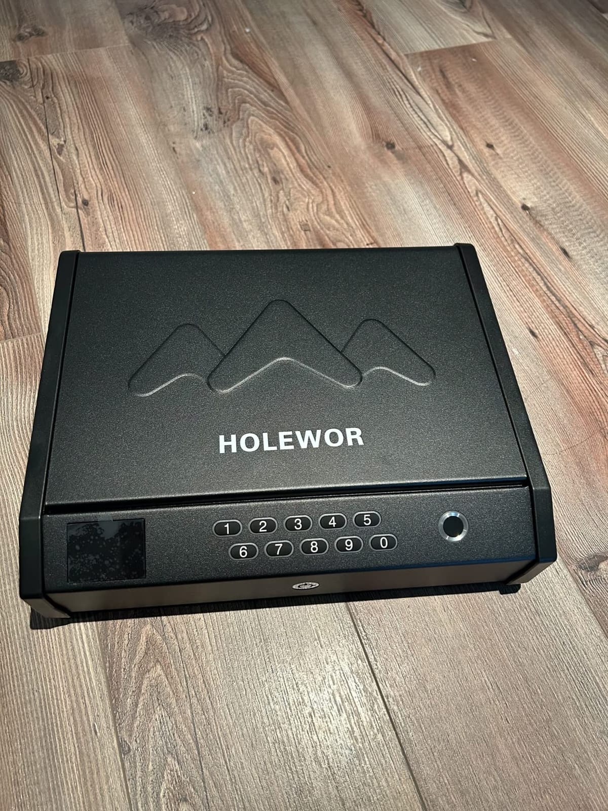 HOLEWOR Gun Safe, Biometric Safes for Pistols with LCD Display of Time Battery, Fingerprint Quick Access Handgun Safe Pistol Bedside, Nightstand, Car, 2 Capacity customer photo 1