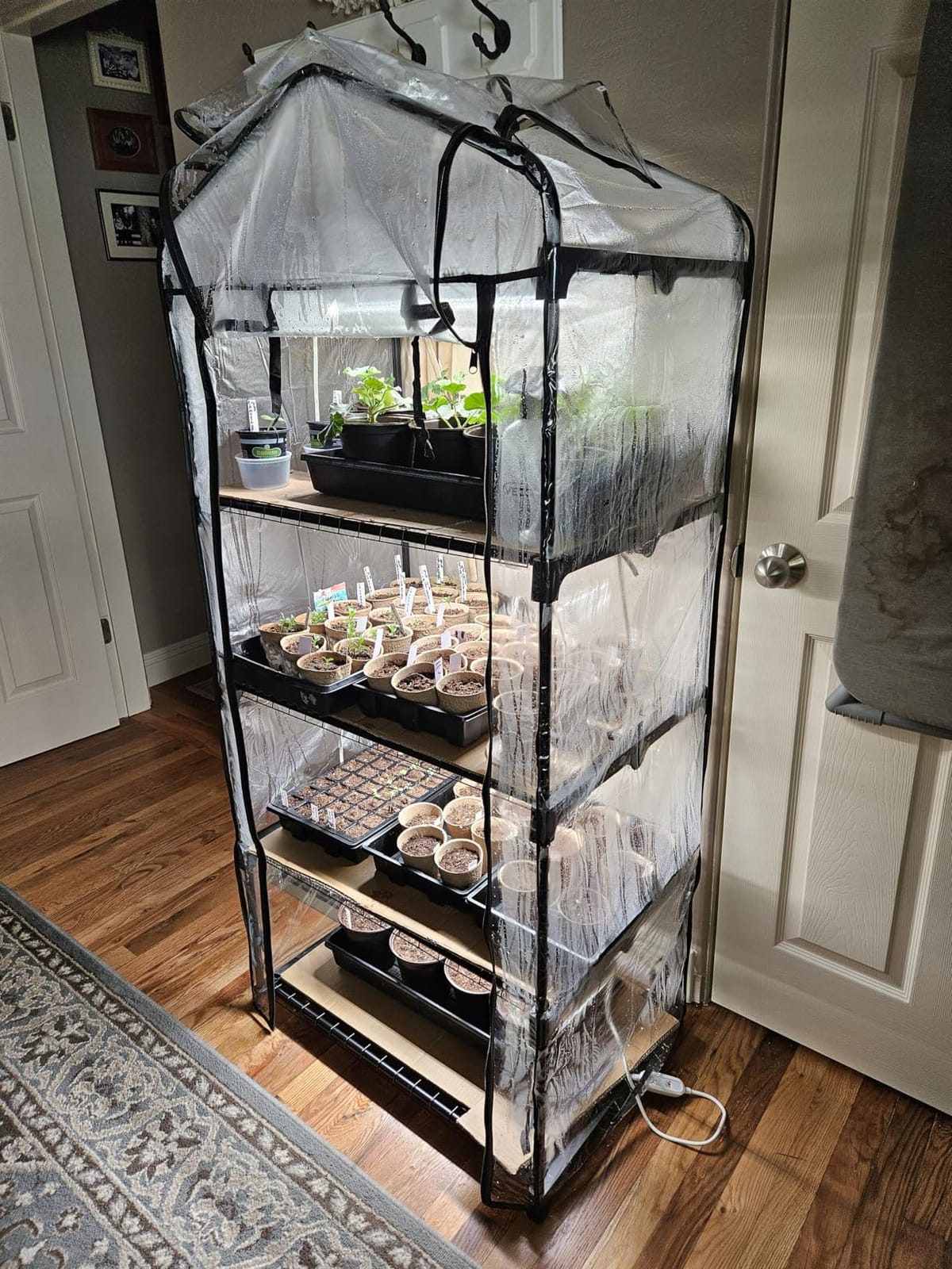 Bstrip Indoor Greenhouse with Grow Light, 4-Tier Mini Greenhouse Indoor customer photo 1