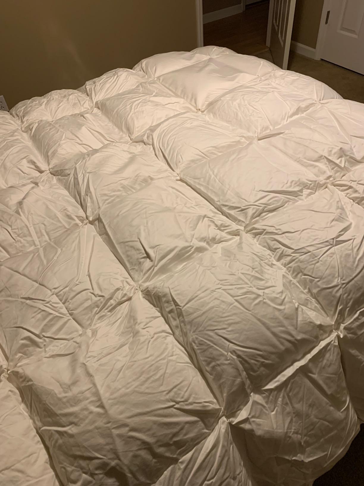 puredown Grey Goose Down Comforter Full/Queen Size, 800 Fill Power, 100% Cotton 700 TC Fabric, Winter Duvet Insert, Pinch Pleat Heavyweight Comforter Cloud Fluffy Extra Warmth customer photo 1