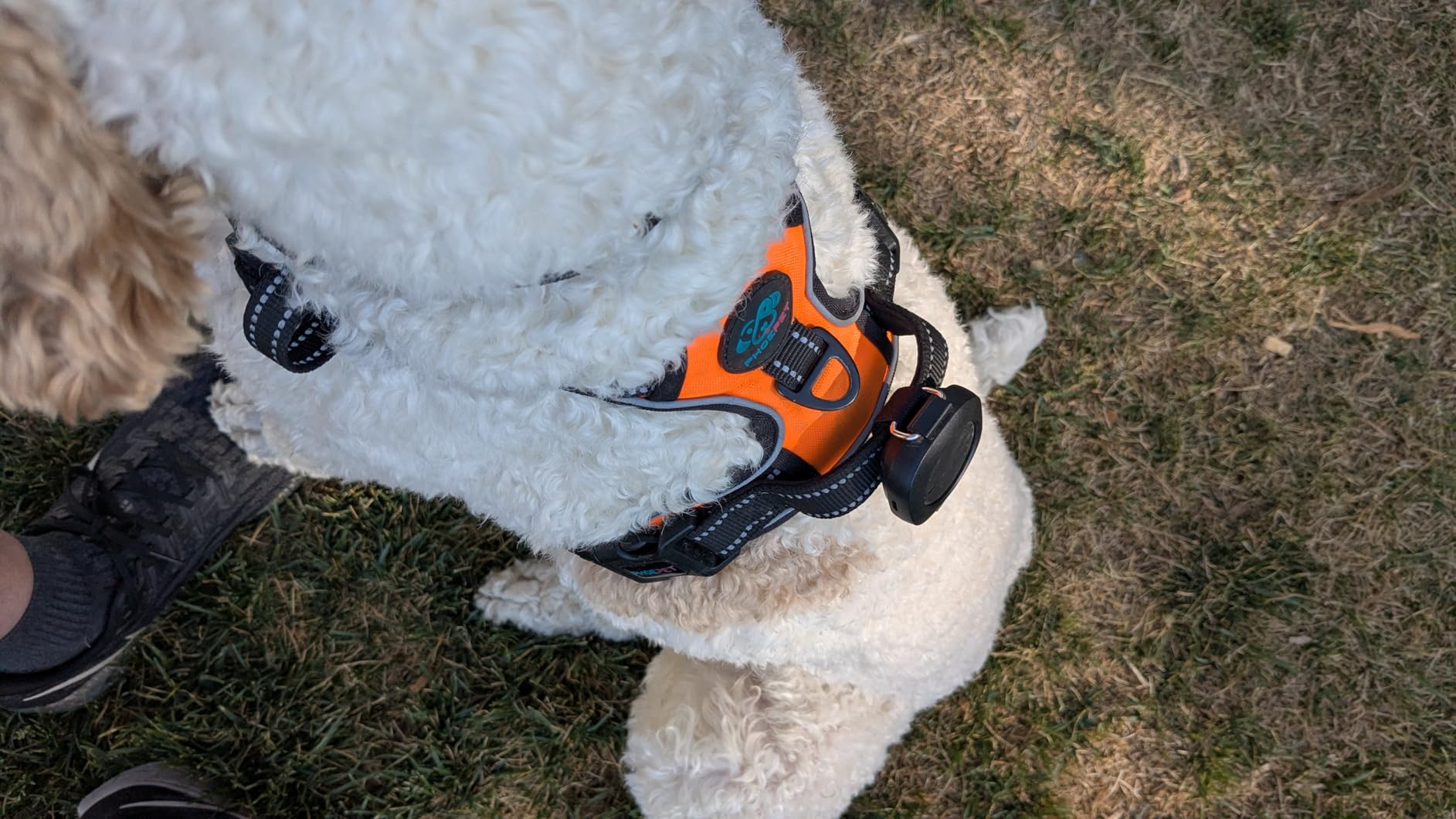 Aorkuler GPS Dog Tracker – No Phone, No Signal, No Subscription | Real-Time Direction & Distance Up to 3.5 Miles | Built for Hiking, Farms & Off-Grid Adventures (Tracker 2) customer photo 1