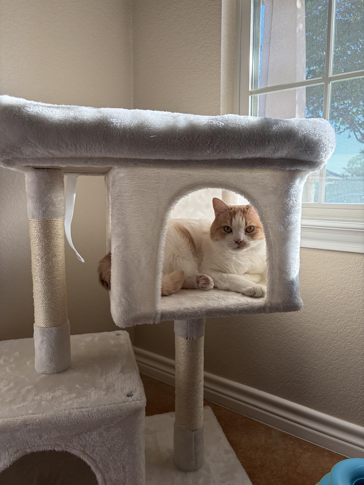 Feandrea Cat Tree, 40.6-Inch Tall Cat Tower, Cute Plush Condo, Light Gray customer photo 1