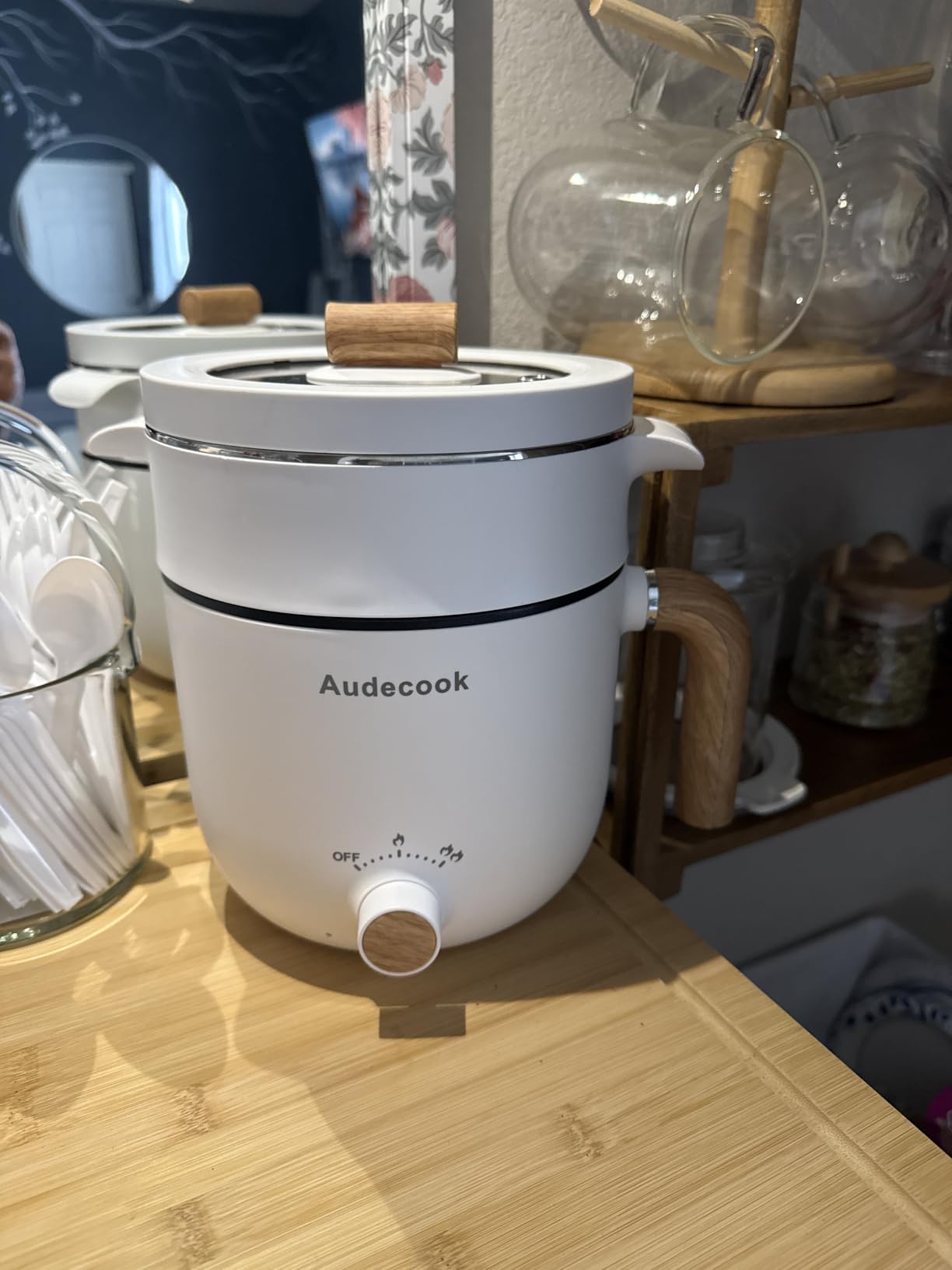 Audecook Electric Hot Pot,1.6qt Portable Ramen Cooker, Dual Power Control customer photo 1