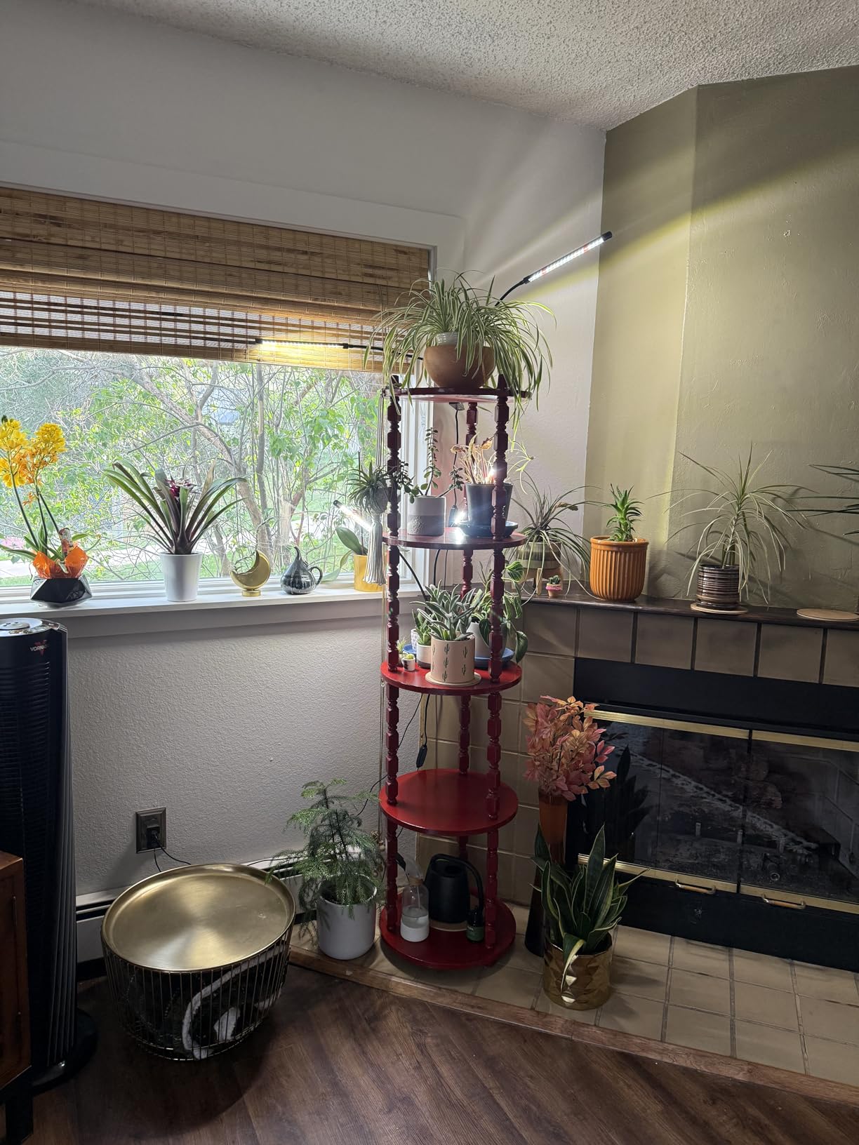 Wolezek Clip on Grow Lights for Indoor Plants, Full Spectrum 6000K customer photo 2