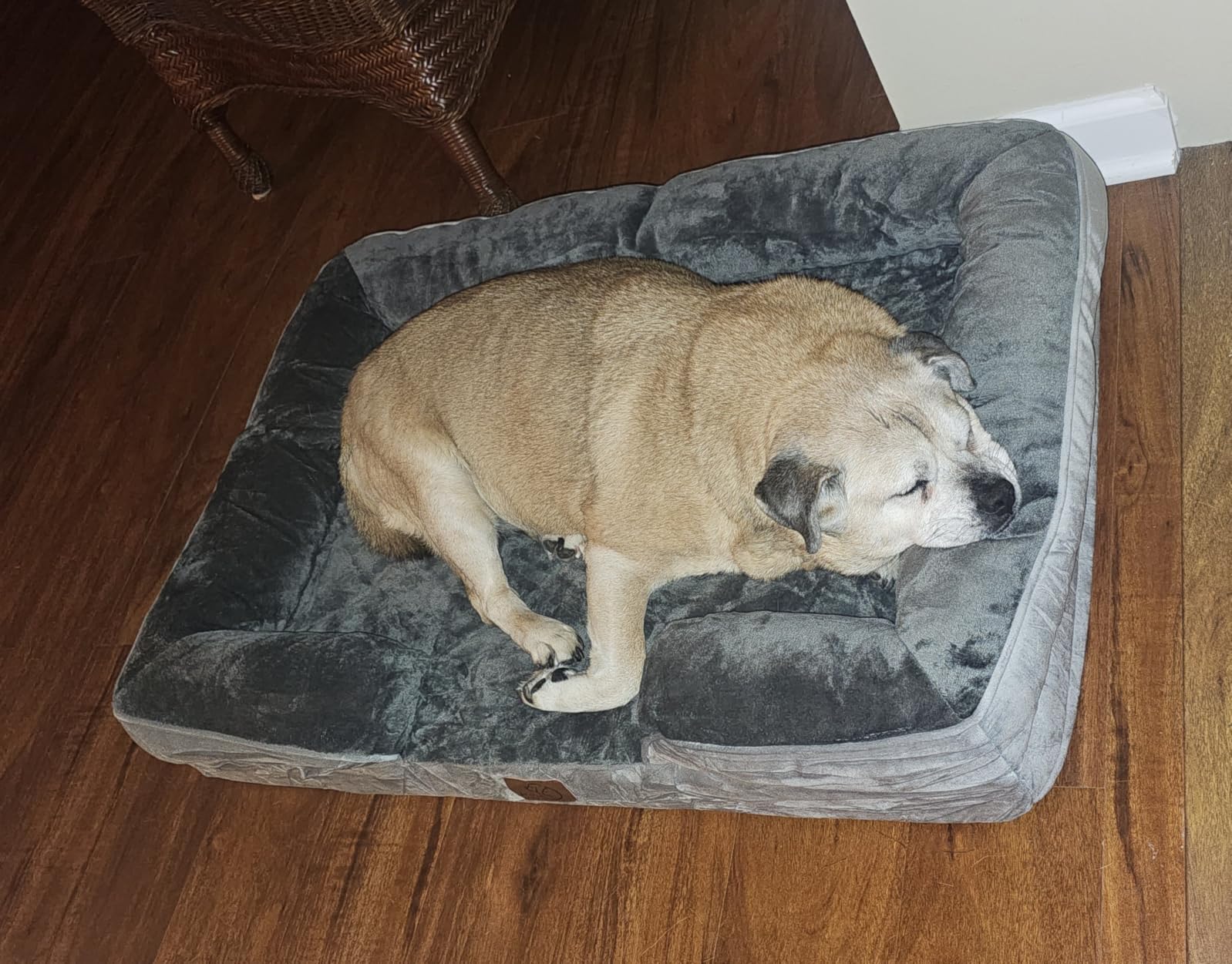 Bedsure Orthopedic Dog Beds Large Sized Dog with Removable Washable Cover customer photo 1