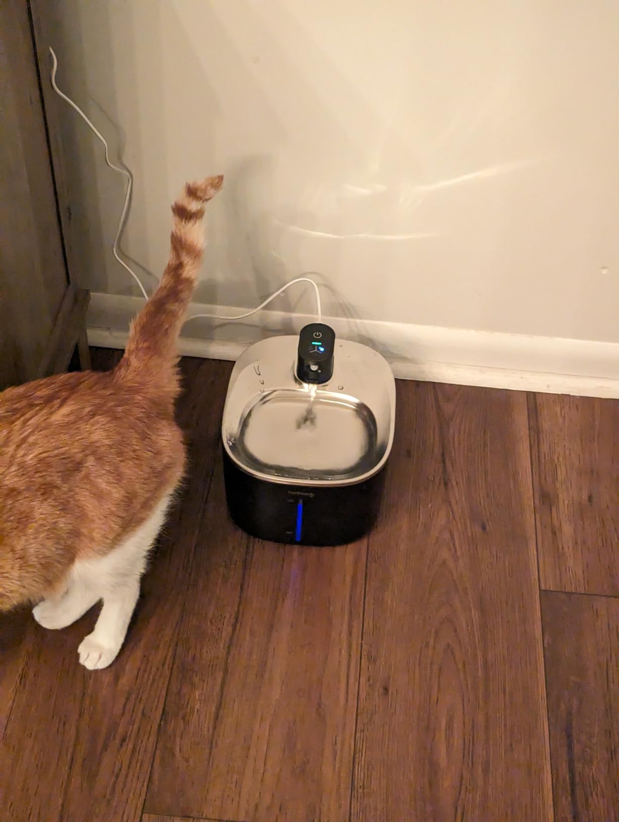 FEELNEEDY Wireless Cat Water Fountain Stainless Steel with Sensor, 4000mAh Battery Operated, 4L/135fl oz Pet Water Fountain for Cats Dogs, Ultra Quiet Cat Drinking Fountain with 2 Filters (YPD-C004S) customer photo 1