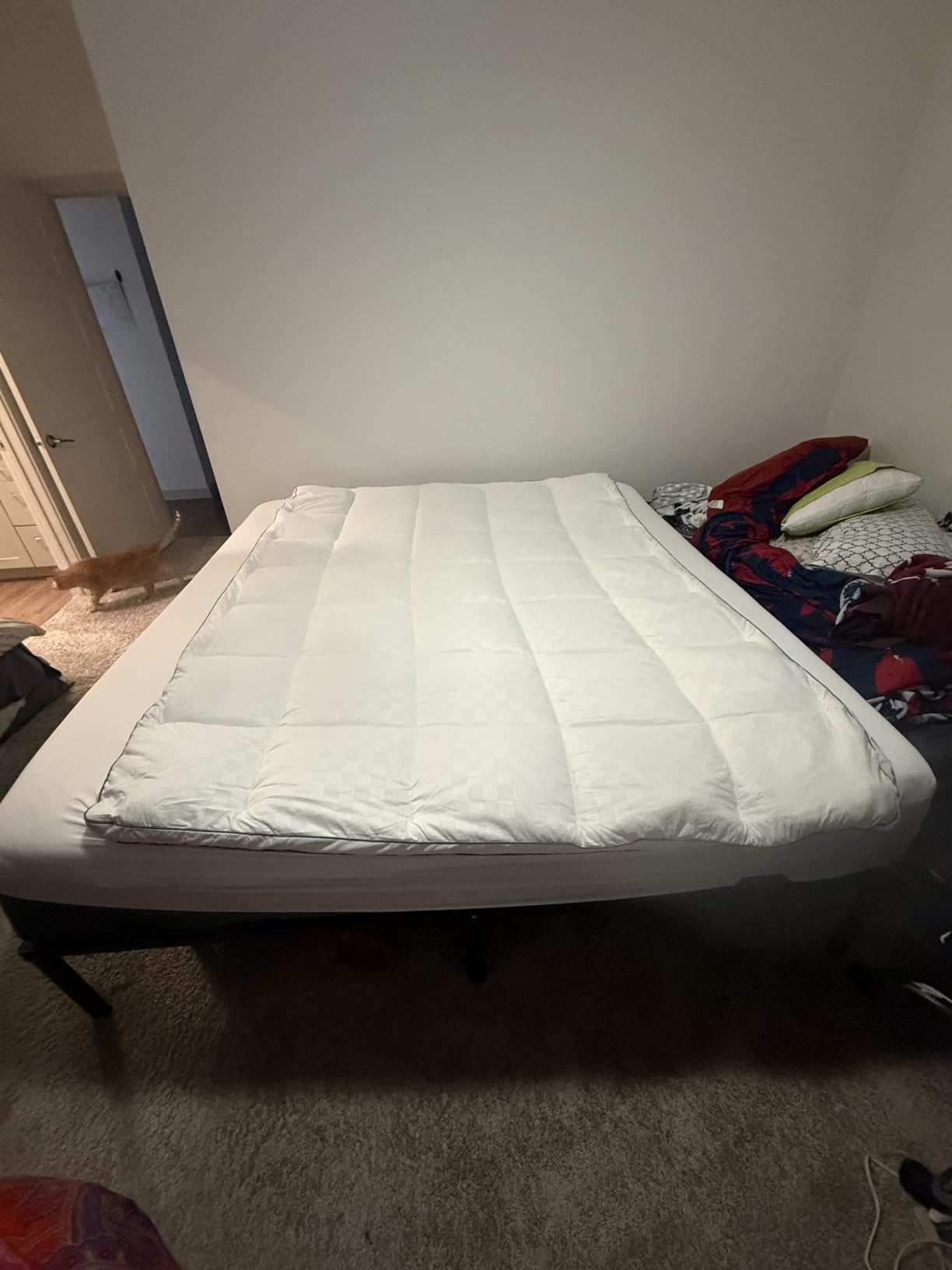SameBed Mattress Topper Queen,Extra Thick Mattress Pad Cover for Back Pain,Cooling Mattress Protector with 8-21 Inch Deep Pocket,Overfilled Down Alternative Filling customer photo 1