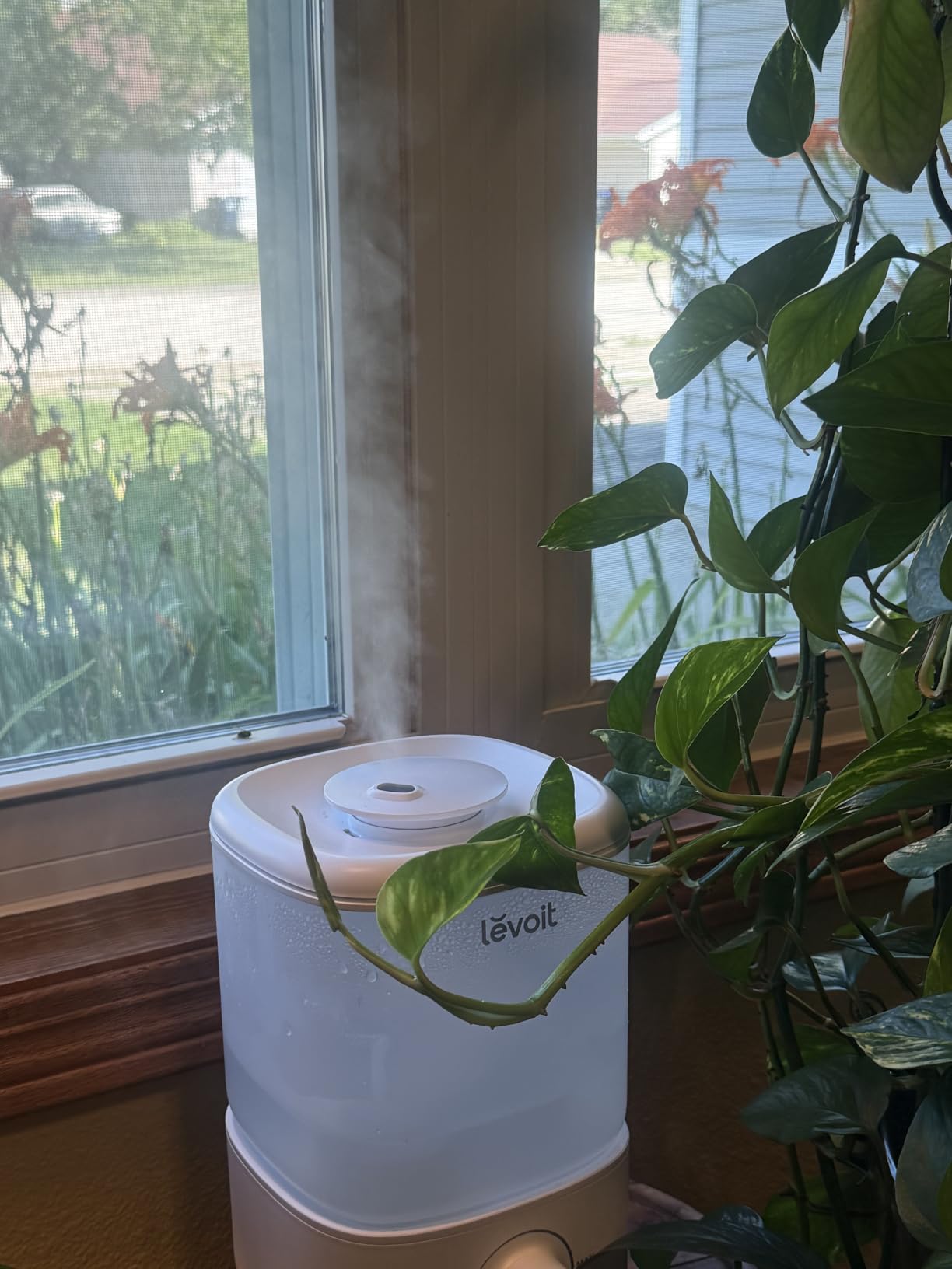 Levoit Top Fill Humidifiers for Bedroom, 2.5L Tank for Large Room, 28dB customer photo 2