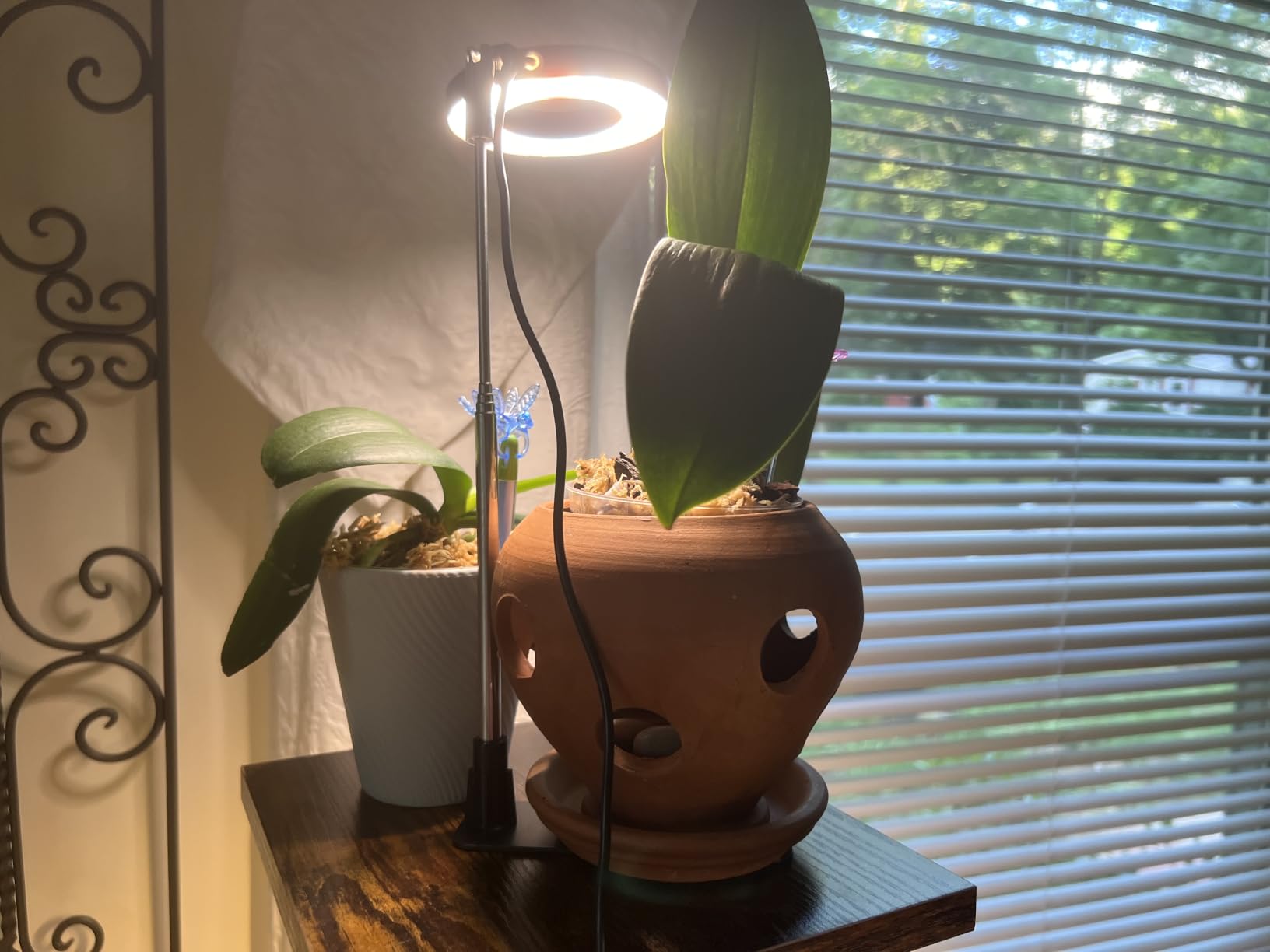 Aokrean Plant Grow Light for Indoor Plants, 3.5in Full Spectrum with Base customer photo 1