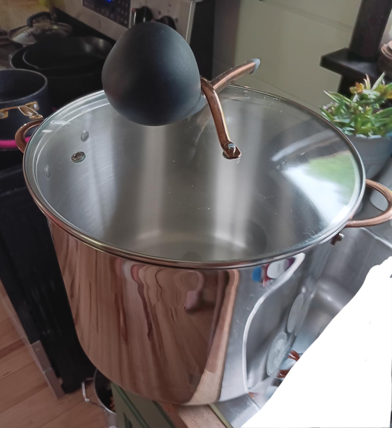 Ciwete Stock Pot 12 Quart, 18/10 Tri-Ply Stainless Steel Whole Clad Stock Pot with Lid, Seamless 12 QT Cooking Pot with Copper Handle, Healthy Stockpots, Induction, Gas, Oven and Dishwasher Safe customer photo 1