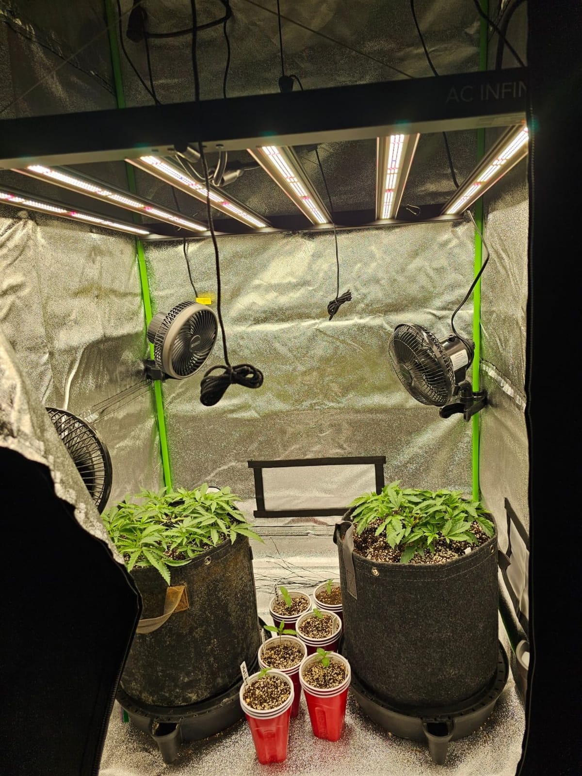 AC Infinity IONFRAME EVO6, 500W Samsung EVO Bar LED Grow Light 4x4 customer photo 1