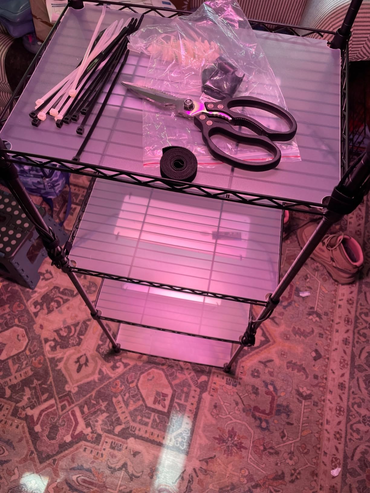 Barrina CX83 Plant Stand with Grow Lights, 6-Tier Shelf, 15.7x11.8x70.9IN customer photo 1