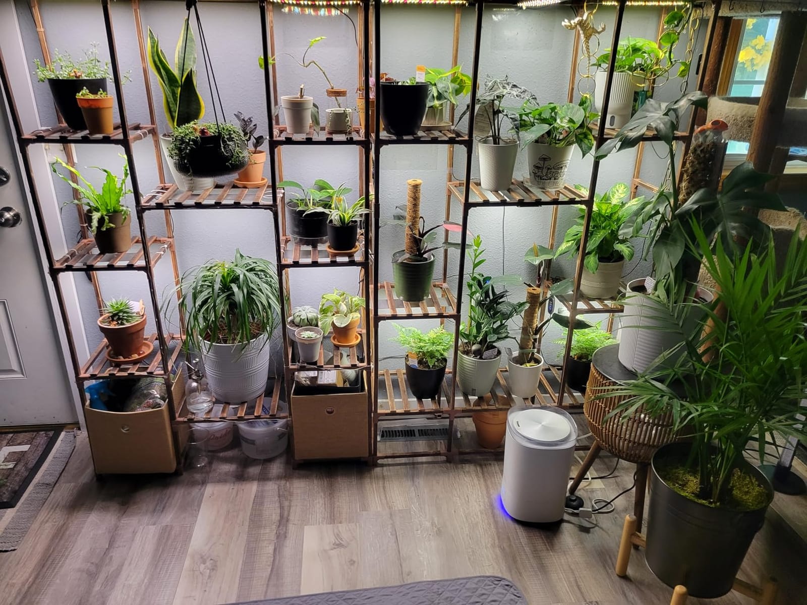 Grow Light,40W Ultra-Thin Panel Grow Lights for Indoor Plants,316LEDs Full Spectrum Grow Lights for Under Cabinet Plant, Grow Lamp with 3/9/12H Timer,10 Dimmable Levels for Plants Growing (4pcs) customer photo 2