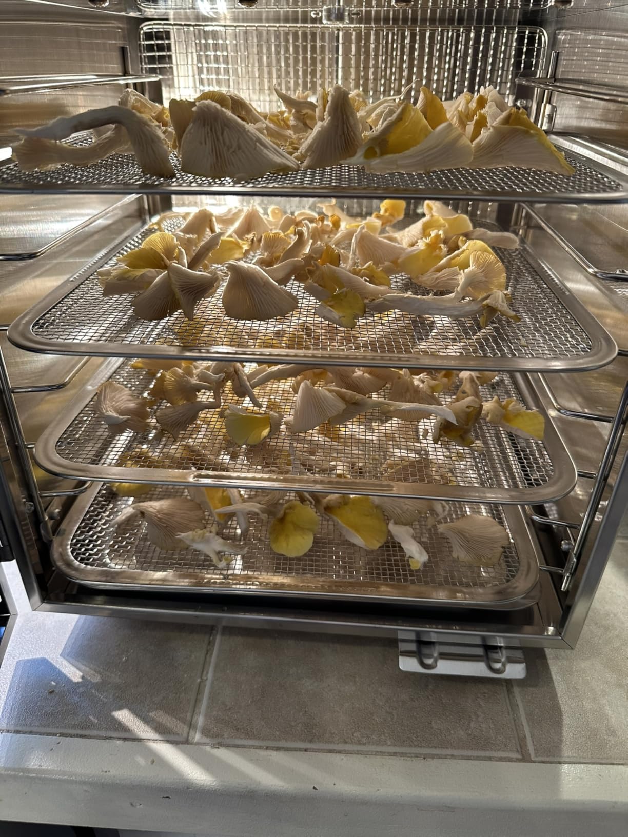 Food-Dehydrator Machine 8 Trays 500W Stainless Meat Dehydrator for Beef Jerky customer photo 1