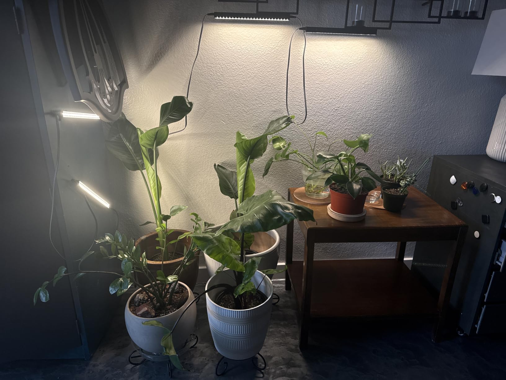 Barrina T5 Grow Lights for Indoor Plants, Full Spectrum, 1ft 5000K, 4 Packs customer photo 1