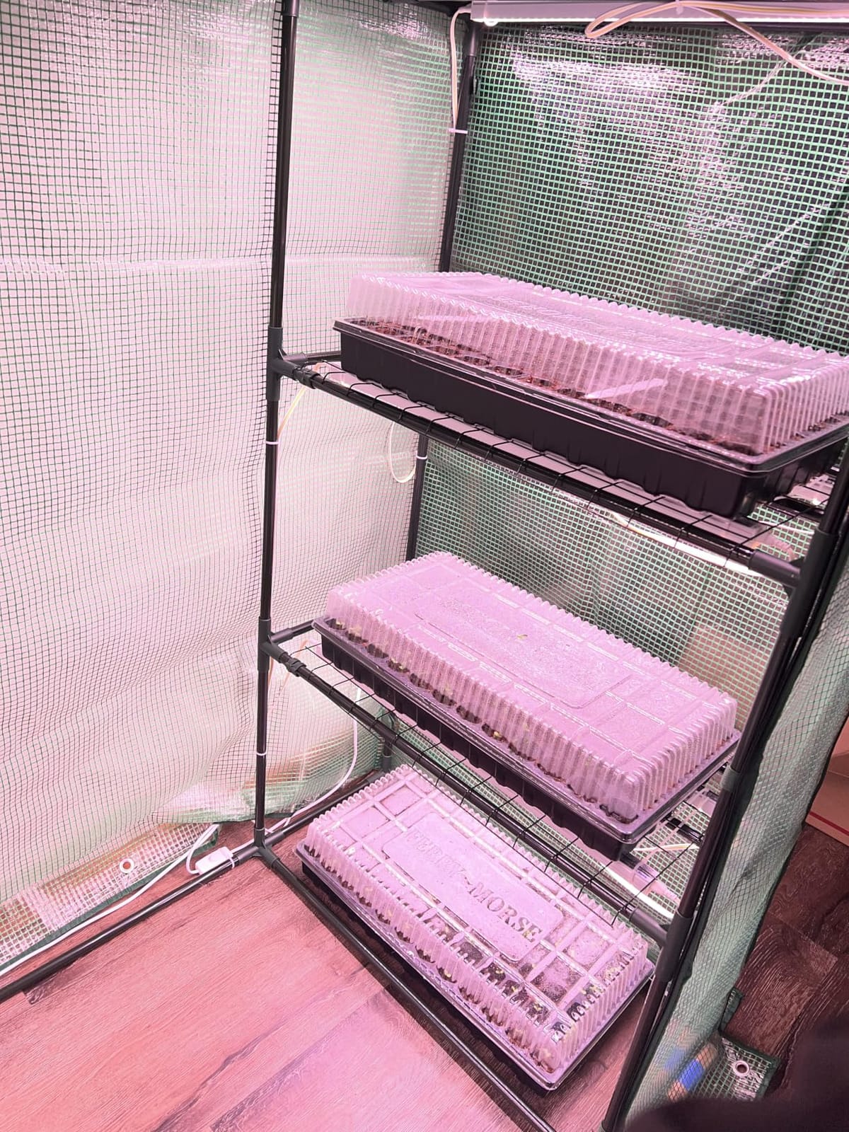 Barrina T5 Grow Lights for Indoor Plants, Full Spectrum, 1ft 5000K, 4 Packs customer photo 2