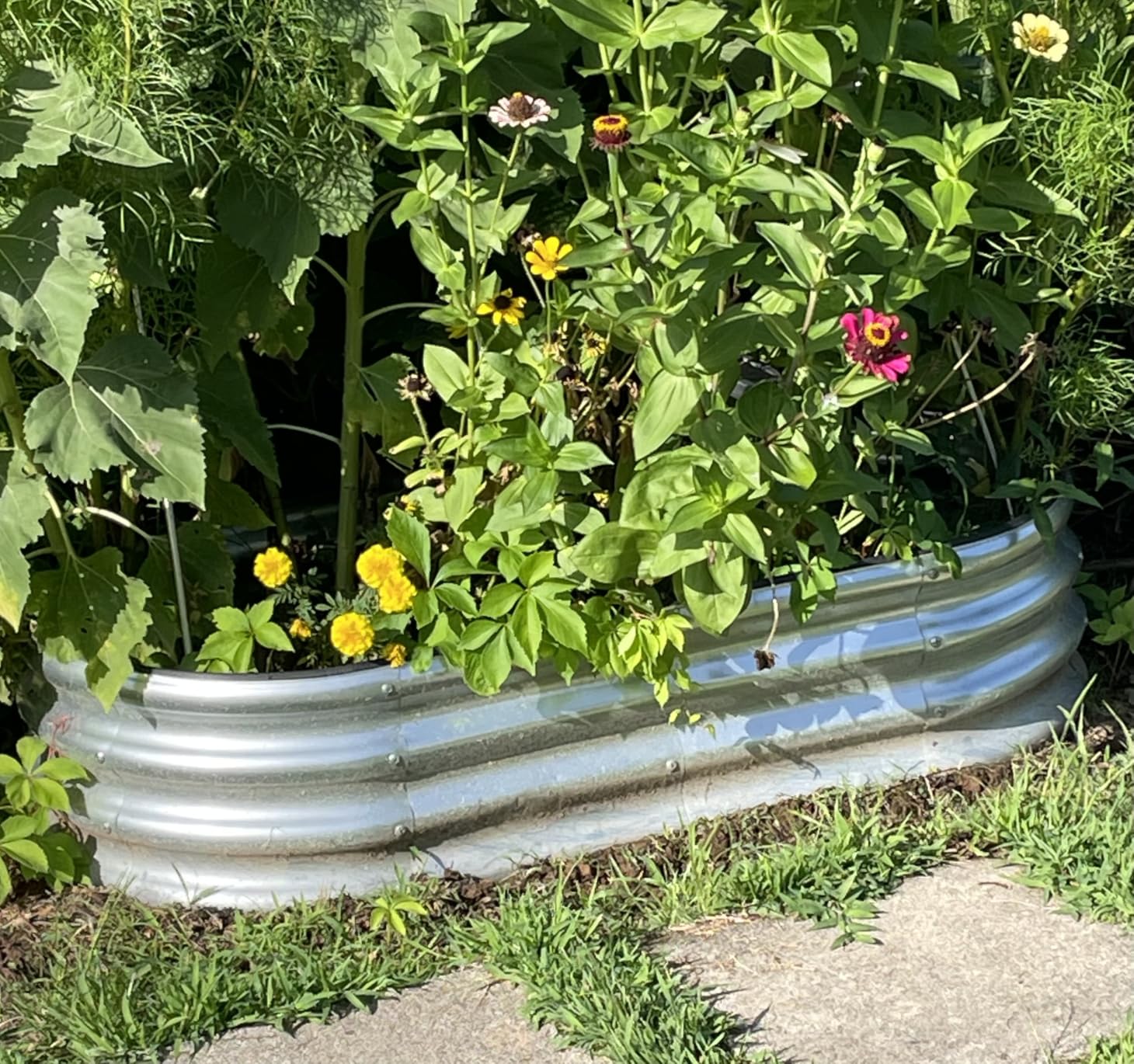 SnugNiture Raised Garden Bed Outdoor 4x2x1ft, 2 Pack customer photo 1