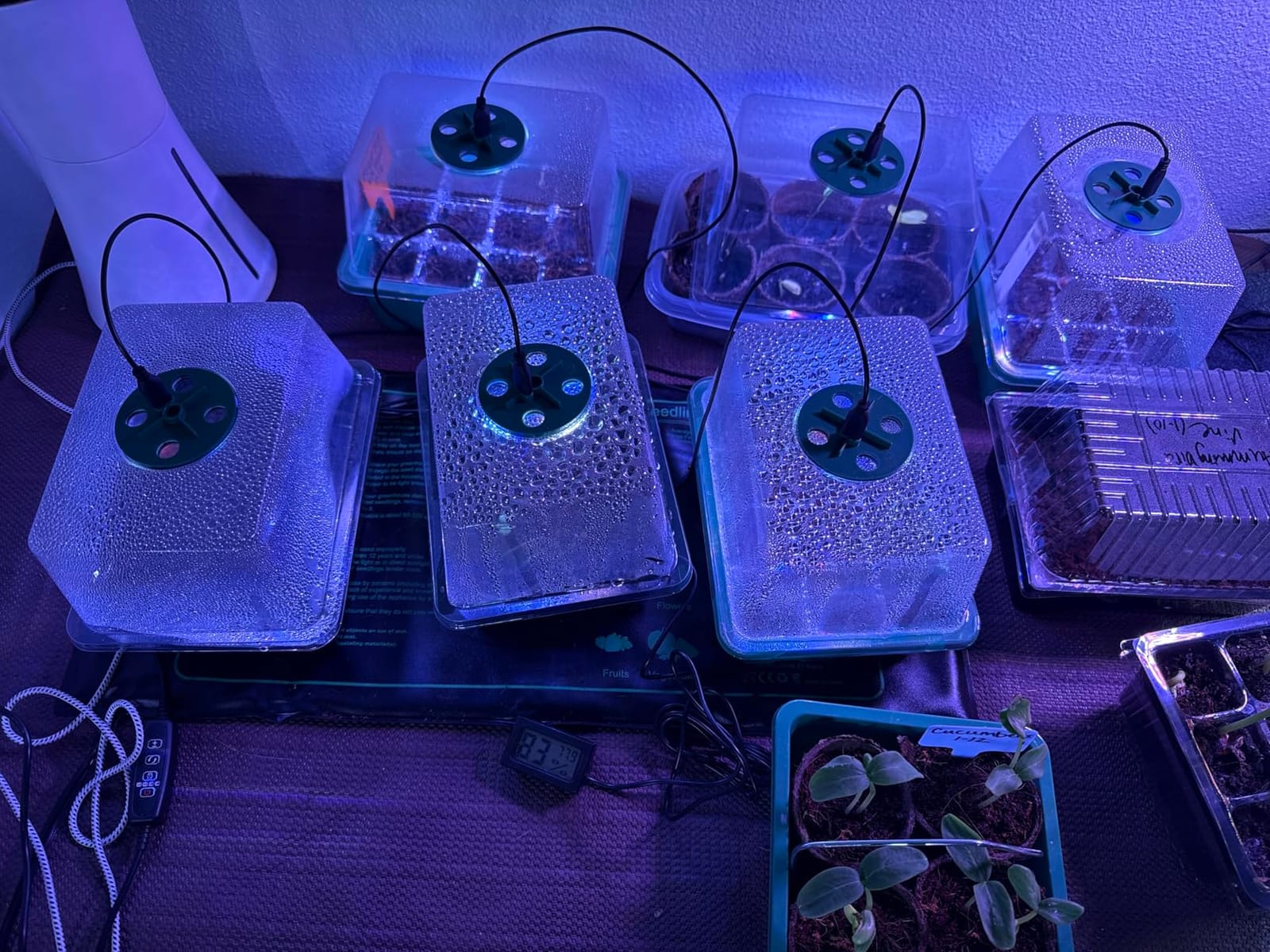 Seed Starter Trays with Grow Lights and Heat Mat, 72 Cells Seed Starter Kit with Lights, 3 Lighting Mode, 4 Timing Set, Germination Kit for Seed Starting Trays with High Humidity Control Domes customer photo 1