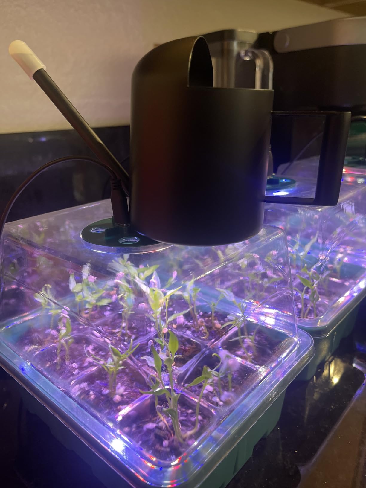 Seed Starter Trays with Grow Lights and Heat Mat, 72 Cells Seed Starter Kit with Lights, 3 Lighting Mode, 4 Timing Set, Germination Kit for Seed Starting Trays with High Humidity Control Domes customer photo 2