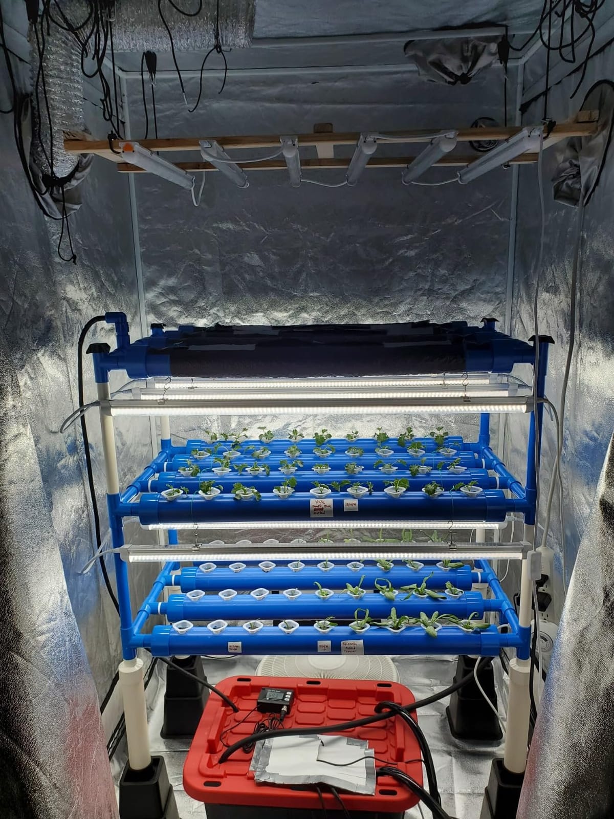 3-Tier 108 Sites Hydroponics Growing System Kit with Light Blocking customer photo 2