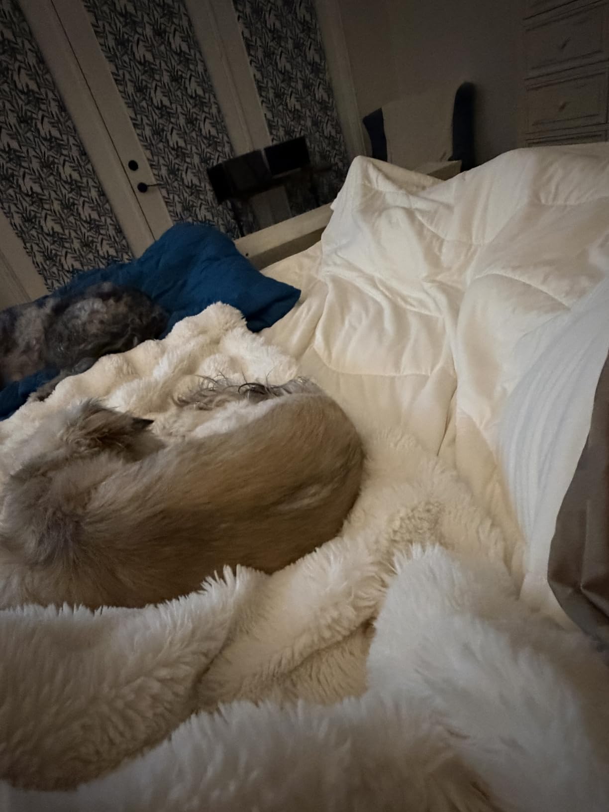 REST® Evercool® Cooling Comforter Blanket for Hot Sleepers, King/Cali King customer photo 1