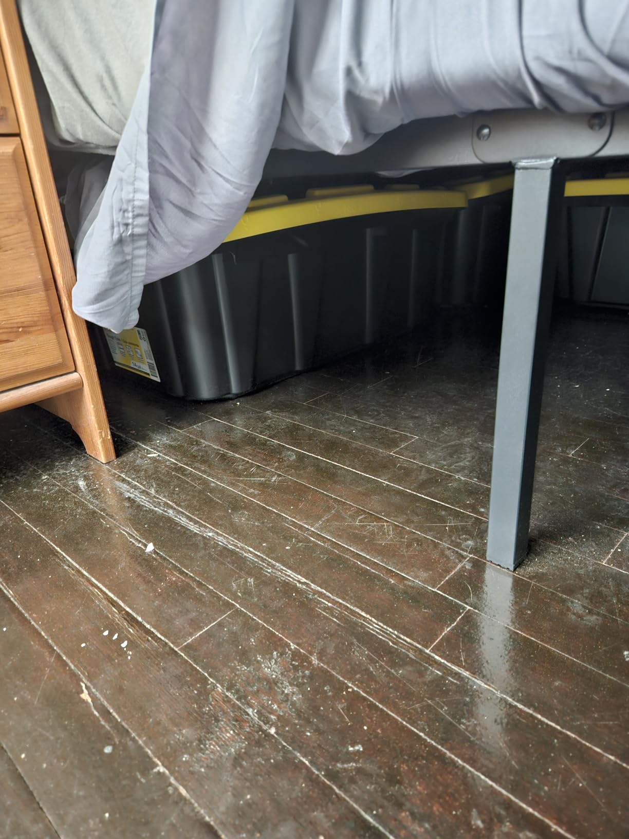 Novilla Queen Bed Frame, 14 Inch Metal Platform Bed Frame Queen Size with Storage Space Under Bed, Heavy Duty Steel Slat Support, Easy Assembly, No Box Spring Needed customer photo 1