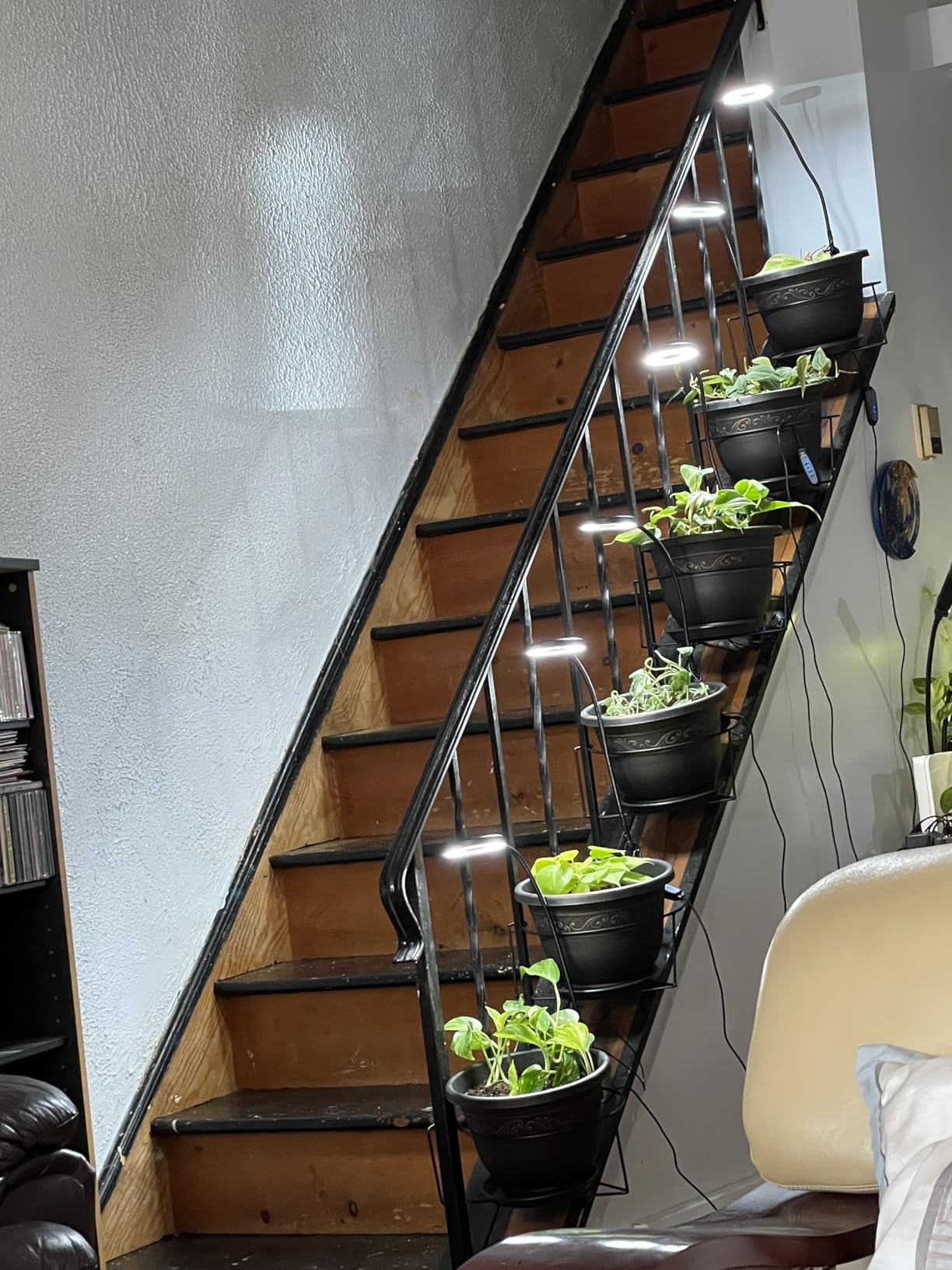 Grow Lights for Indoor Plants Growing, Full Spectrum LED, Clip on customer photo 1