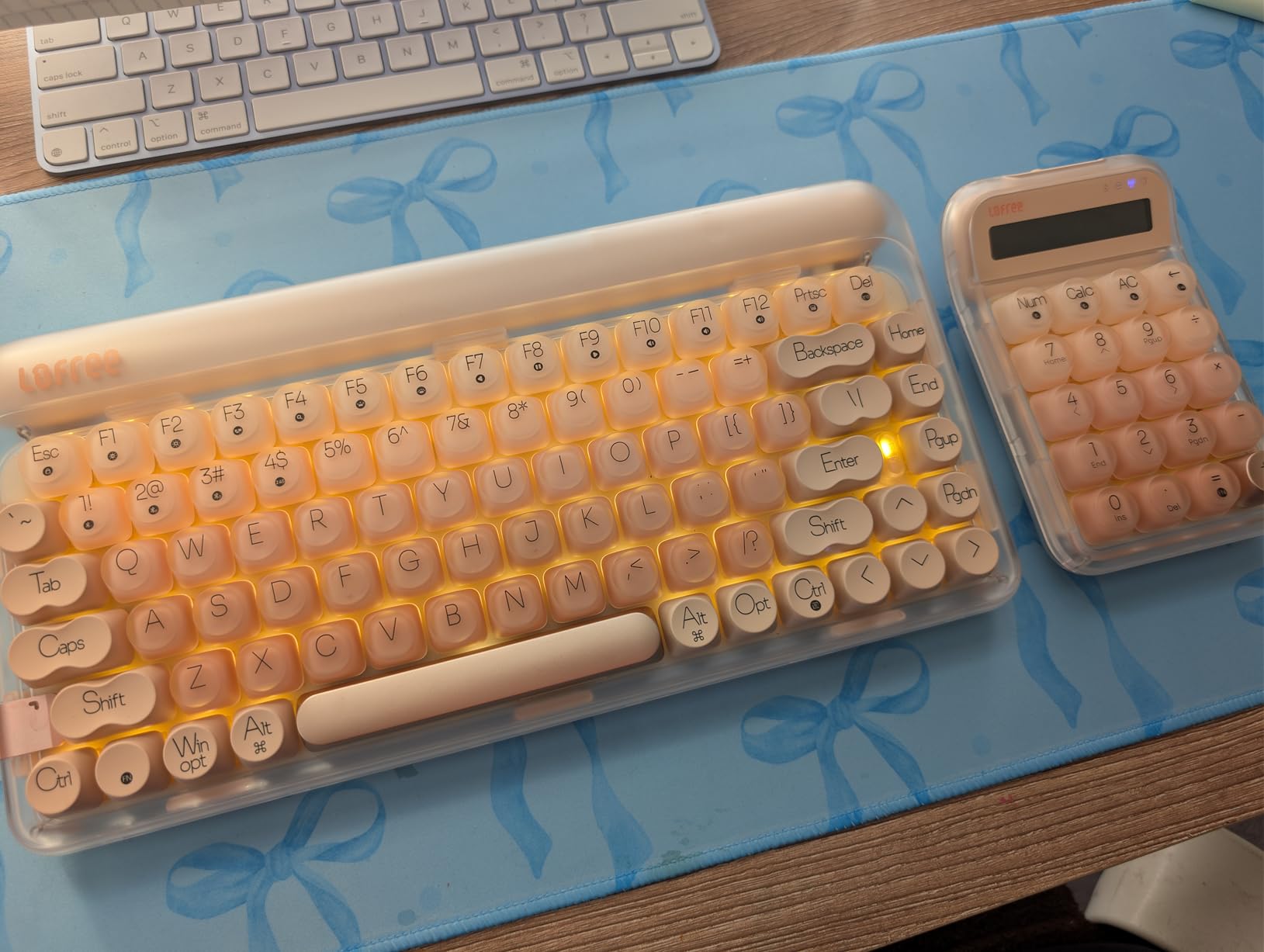 LOFREE DOT Foundation Mechanical Keyboard, 75% Rechargeable Hot-swappable Keyboards with 3 Types Connection for Windows, Mac OS/Pink GATERON Baby Racoon Switches customer photo 1