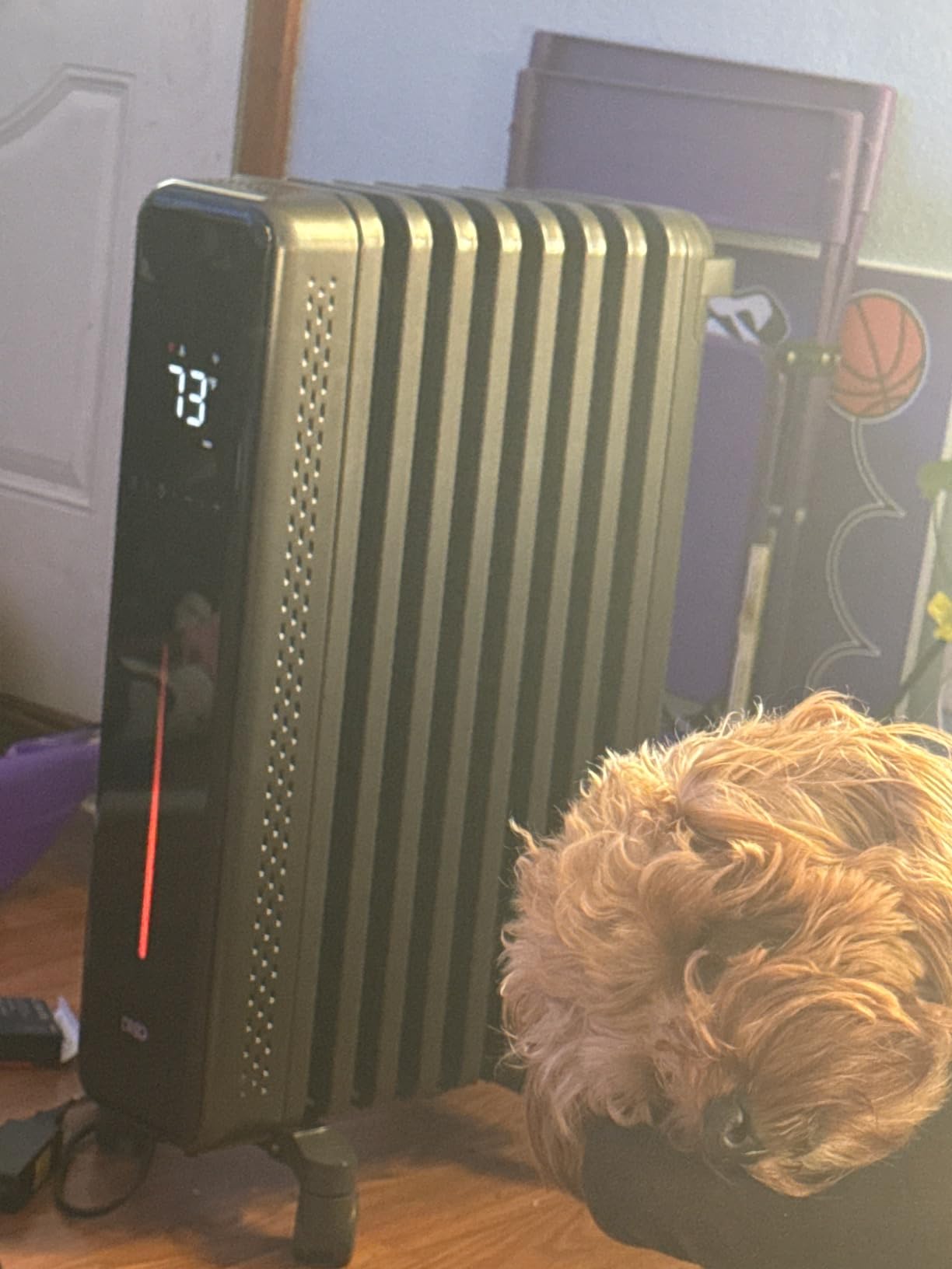 DREO Radiator Heater, 1500W Oil Filled Radiator Heater for Indoor Use customer photo 1