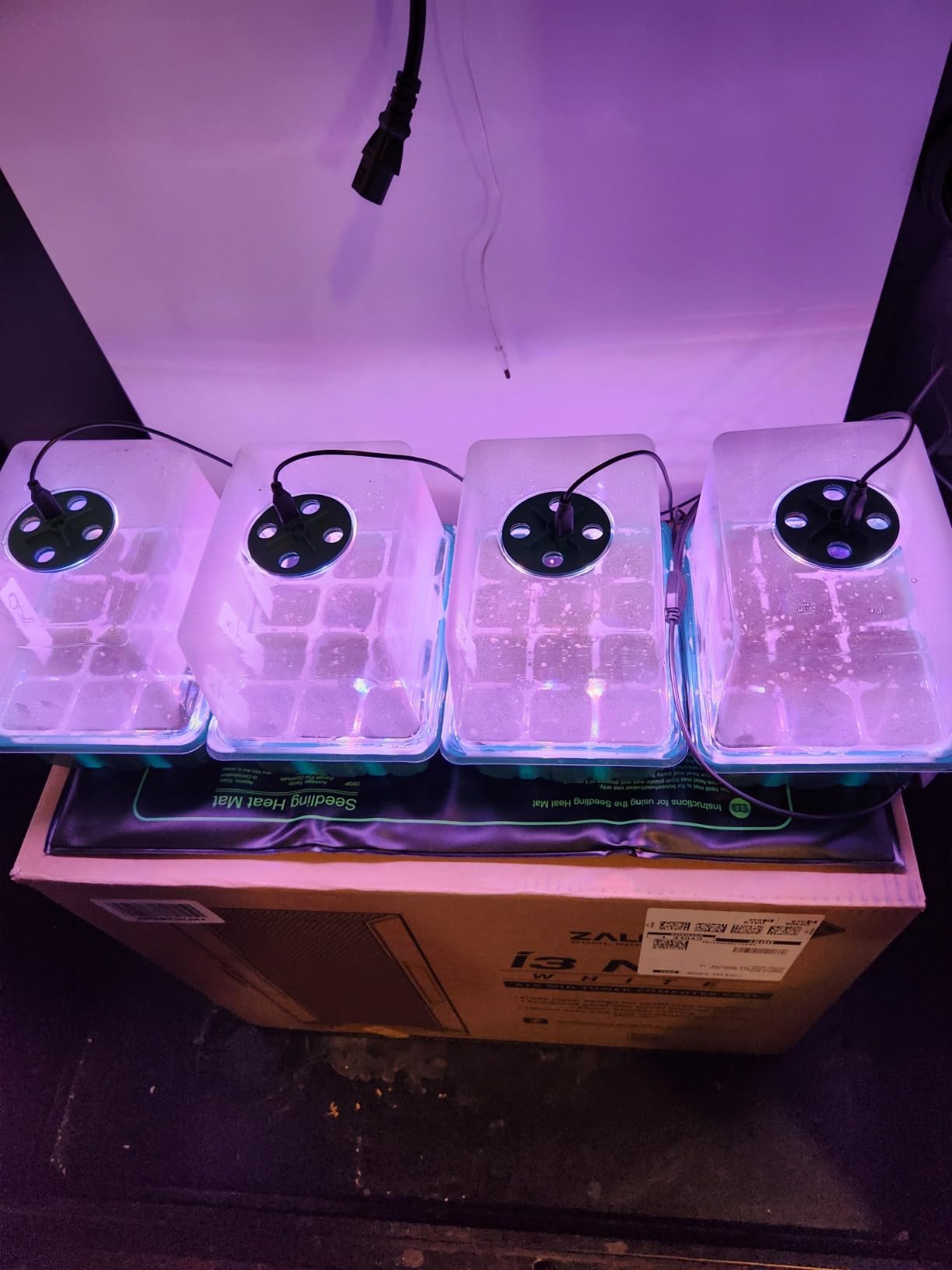Seed Starter Trays with Grow Lights and Heat Mat, Plant Starting Kit 4 Timing Set Humidity Domes Heightened Lids for Small Mini Greenhouse Germination Seeds Growing Starting (6SET 6TRAY 72 SMALL CELL) customer photo 1