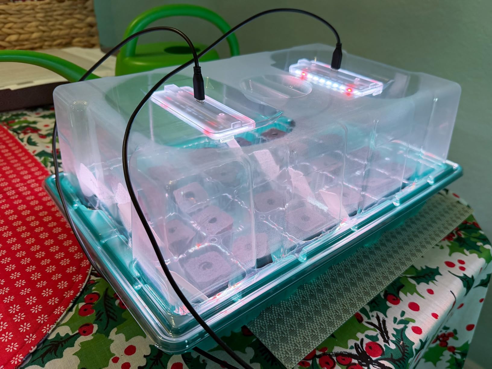 Seed Starter Trays with Grow Lights and Heat Mat, Plant Starting Kit 4 Timing Set Humidity Domes Heightened Lids for Small Mini Greenhouse Germination Seeds Growing Starting (6SET 6TRAY 72 SMALL CELL) customer photo 2