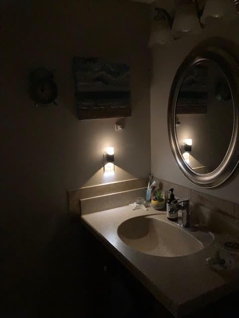Lyridz LED Night Lights Plug into Wall with Motion Sensor, 1-150LM Dimmable Plug-in Nightlight Indoor for Bedroom, Bathroom, Hallway, Stairs, Pet House, Toilet, 2 Pack customer photo 1
