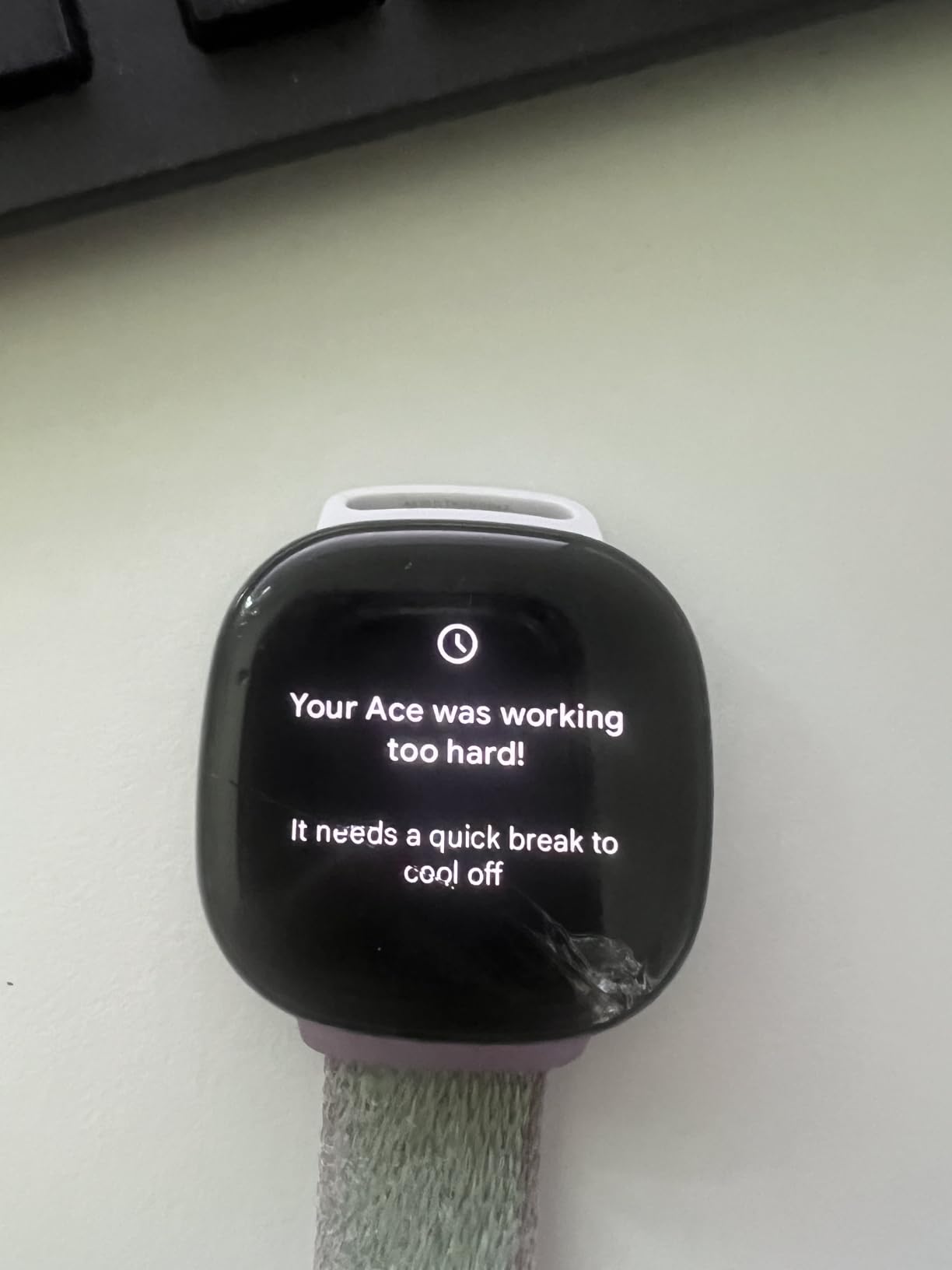 Fitbit Google Ace LTE - Kids Smartwatch with Call, Message, GPS, and Activity-Based Games, Ace Pass Data Plan Required - Spicy - Moovin customer photo 2