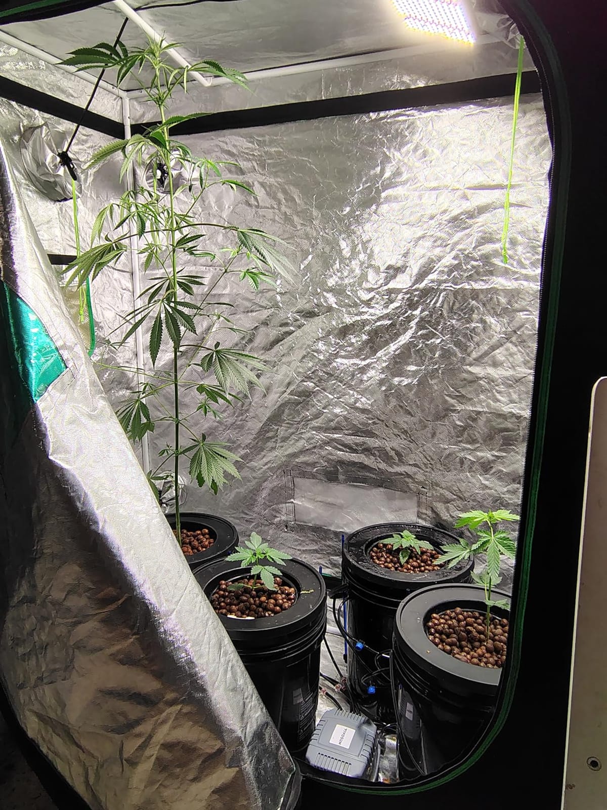 VIVOSUN DWC Hydroponics Grow System with Top Drip Kit 2 Buckets customer photo 2