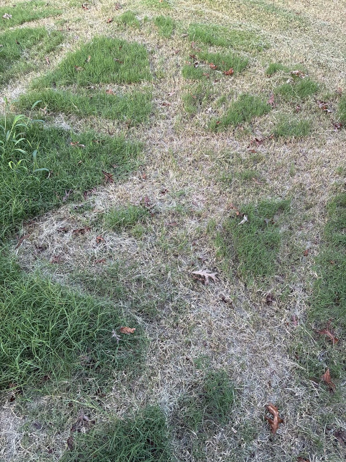 LawnMaster OcuMow Perimeter Wire Free Robot Lawn Mower Cuts Small Lawns 1000-2000 Square Feet with Optical Navigation, Obstacle Avoidance, Low Noise and No Go Functiont customer photo 1