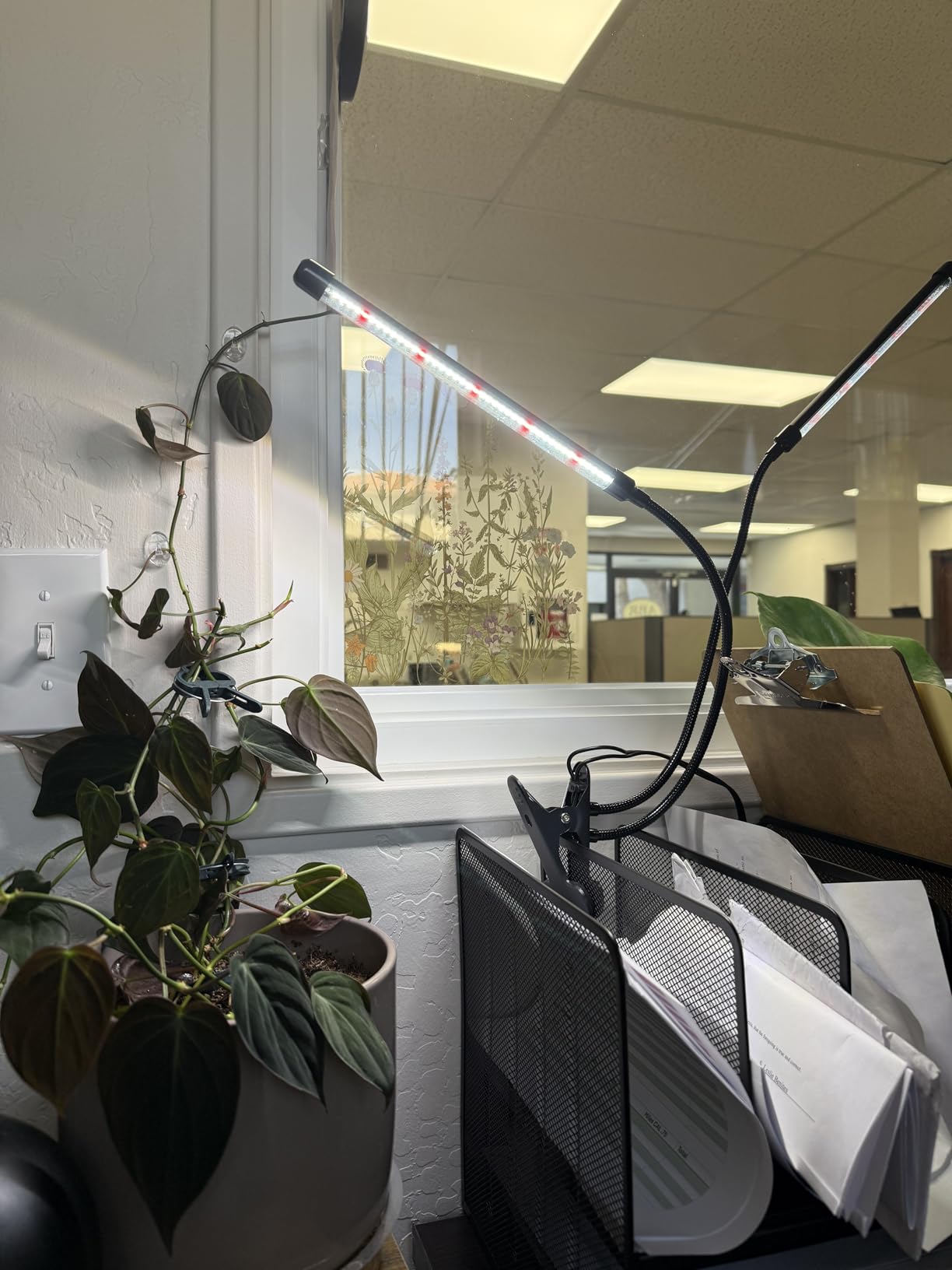 Grow Lights for Indoor Plants, Upgrade 84 LEDs Clip Plant Lights, Full Spectrum LED Plant Growing Lamps with Flexible Gooseneck, 3/9/12H Timer, 3 Spectral Modes, 10 Dimmable Levels (2 Head 1 Pack) customer photo 1