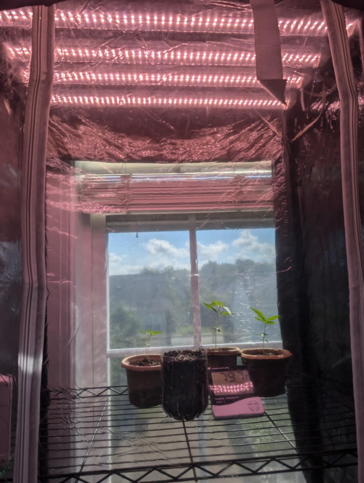 Indoor Greenhouse with Grow Lights with 72W , 5 Tier 23.2